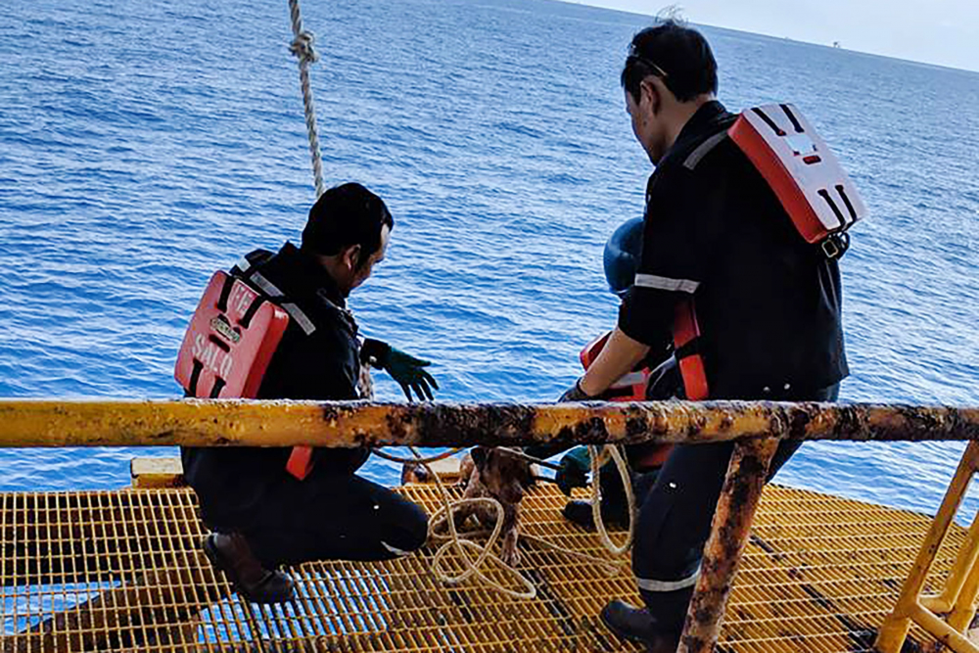 Dog pulled from ruff seas 220 kms off Thai coast to be adopted by rescuer