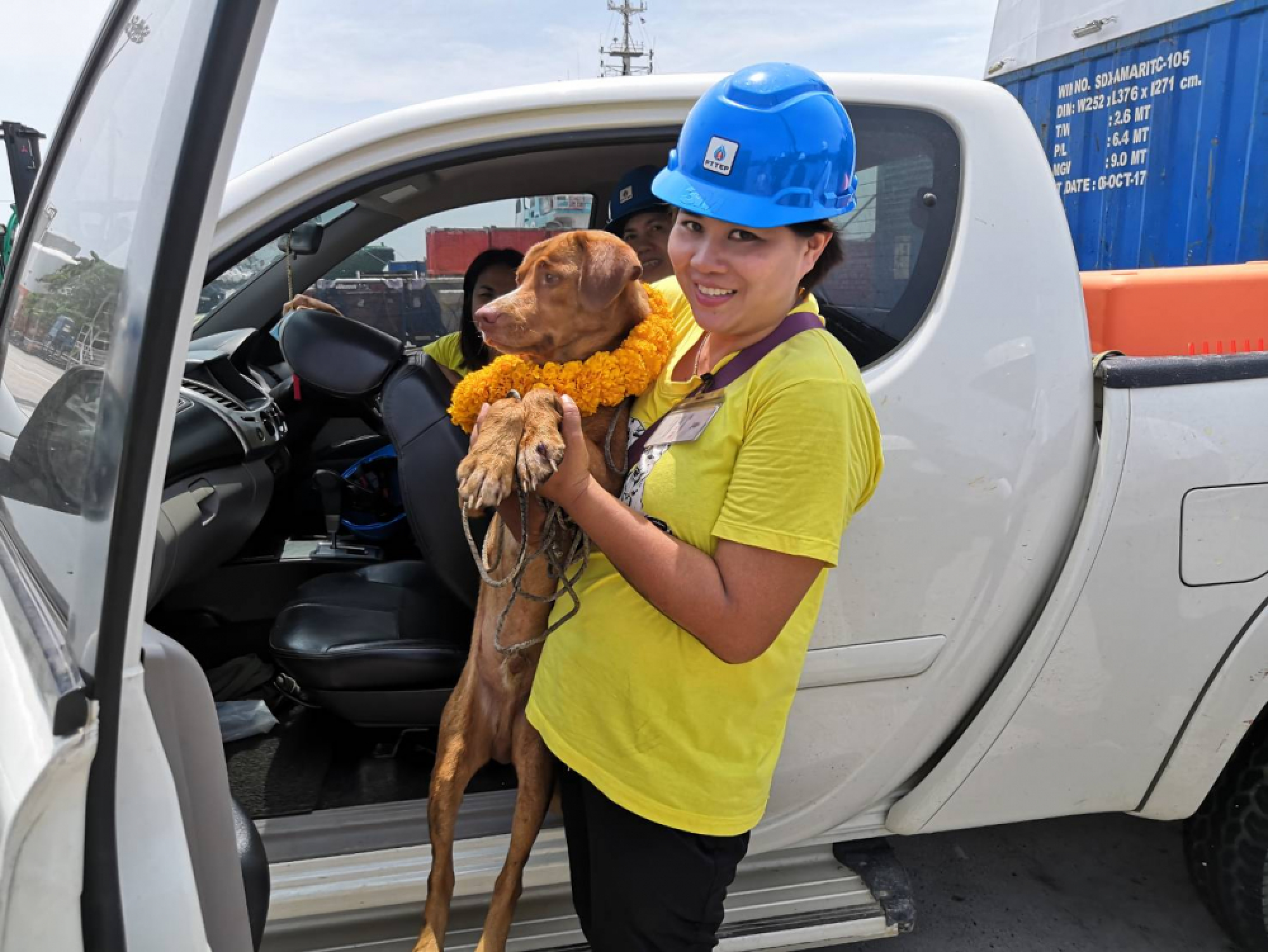 Dog pulled from ruff seas 220 kms off Thai coast to be adopted by rescuer