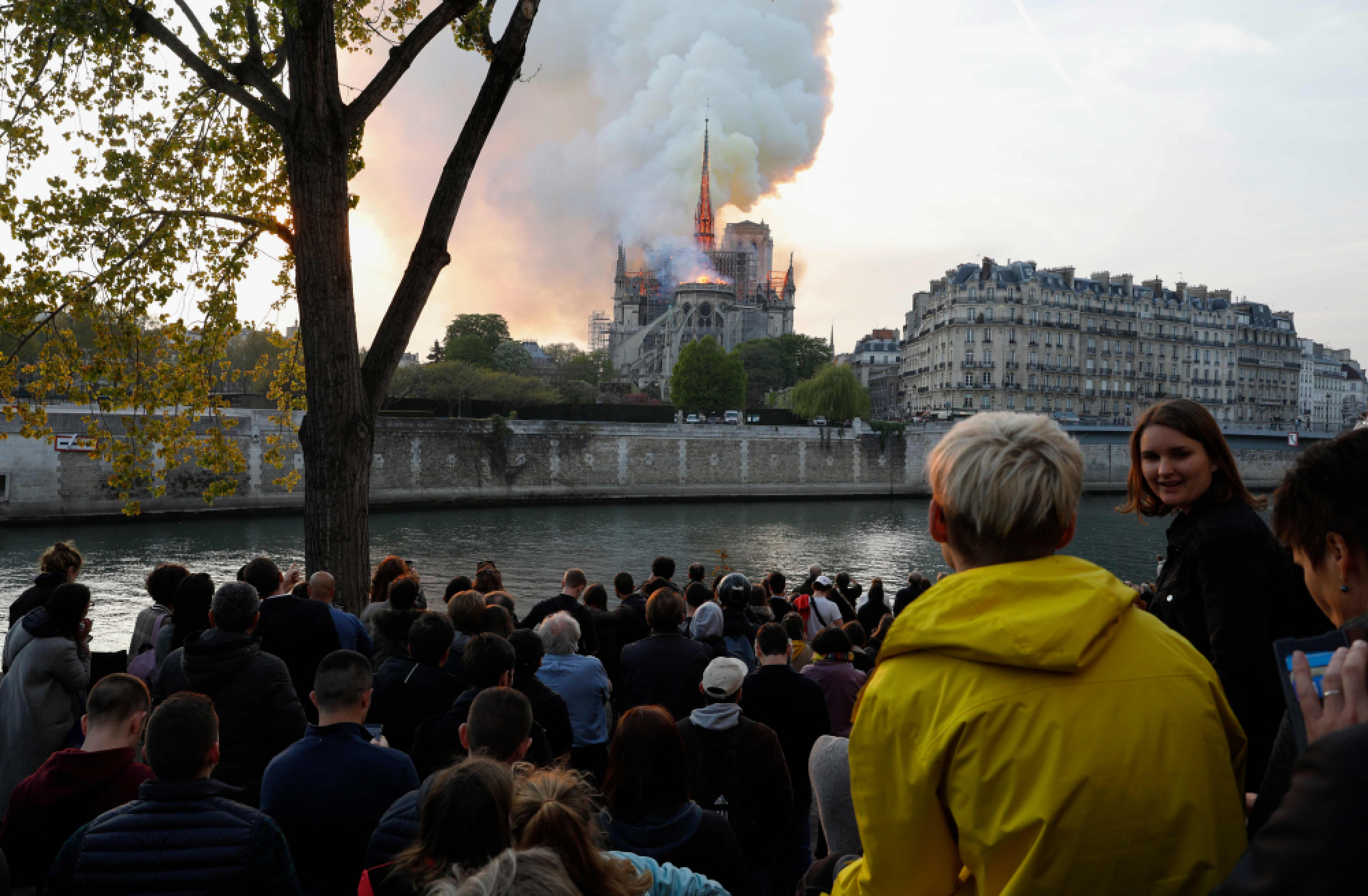 'Paris is disfigured': Tears and shock as Notre-Dame burns