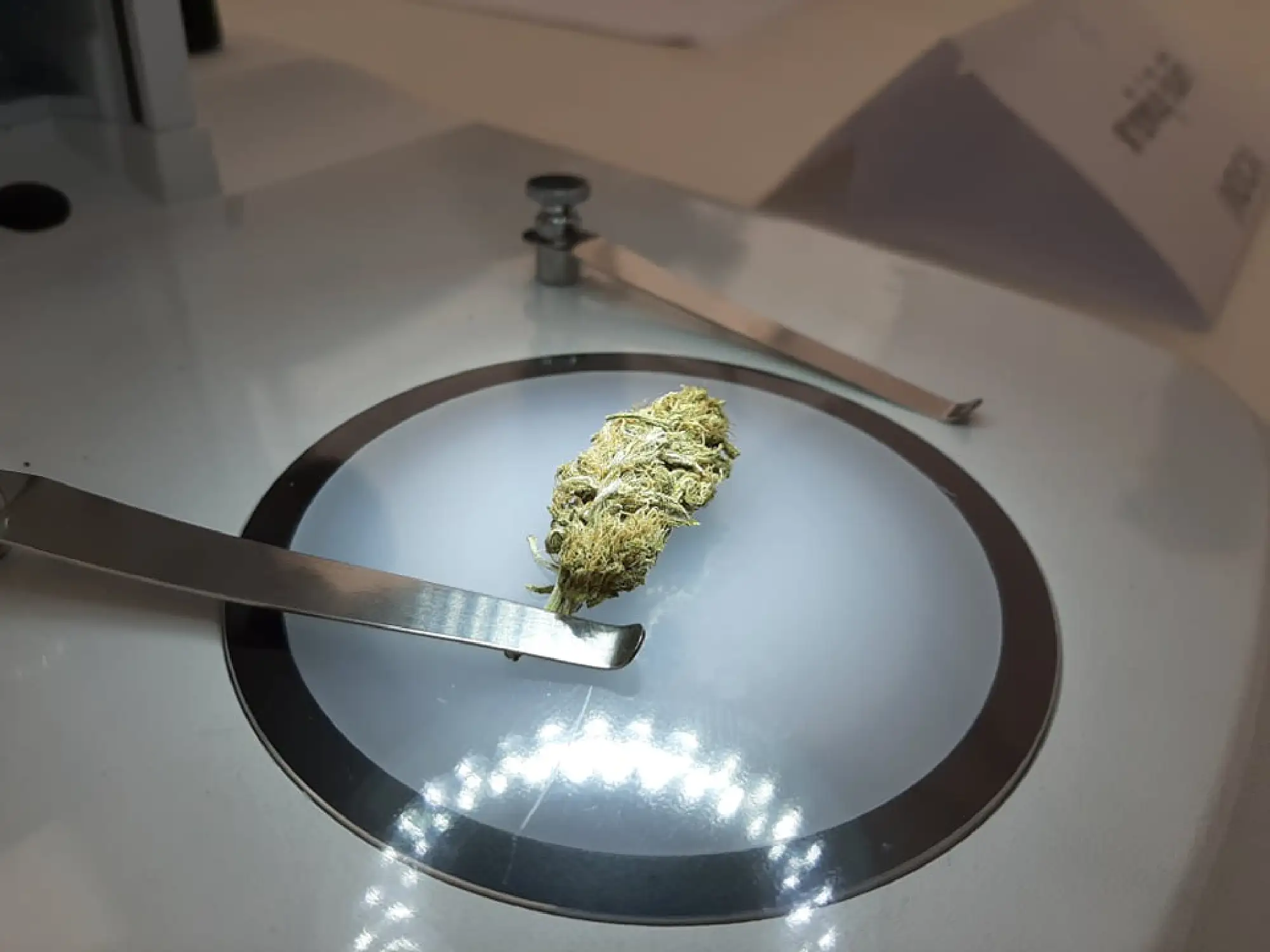 Medical marijuana move ‘not enough’