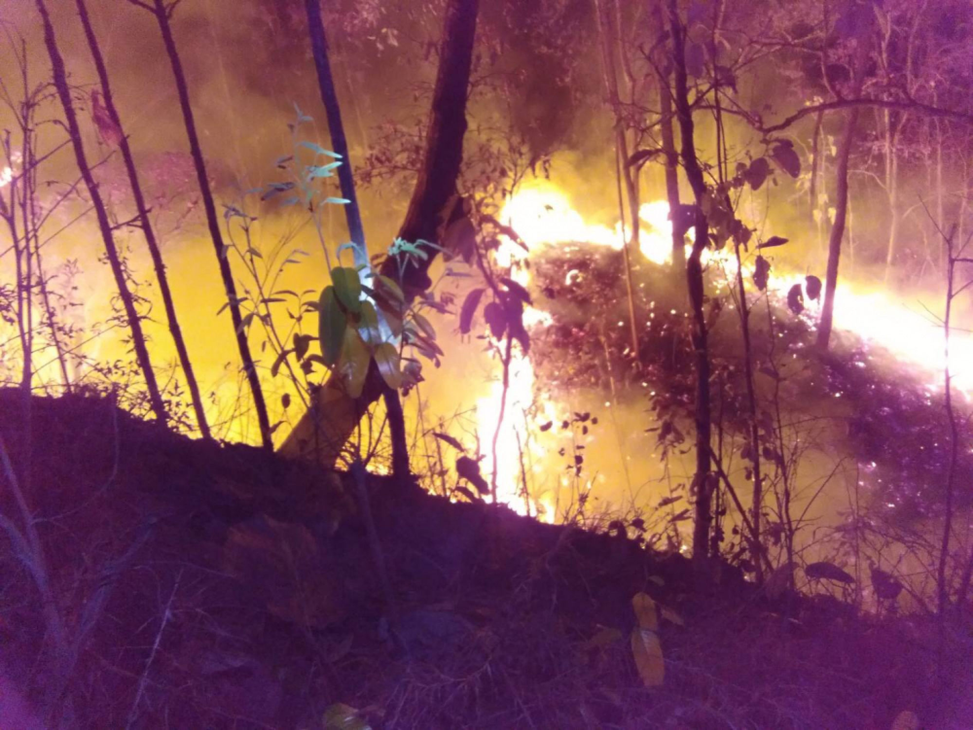 Air pollution rises as fires continue to burn in North