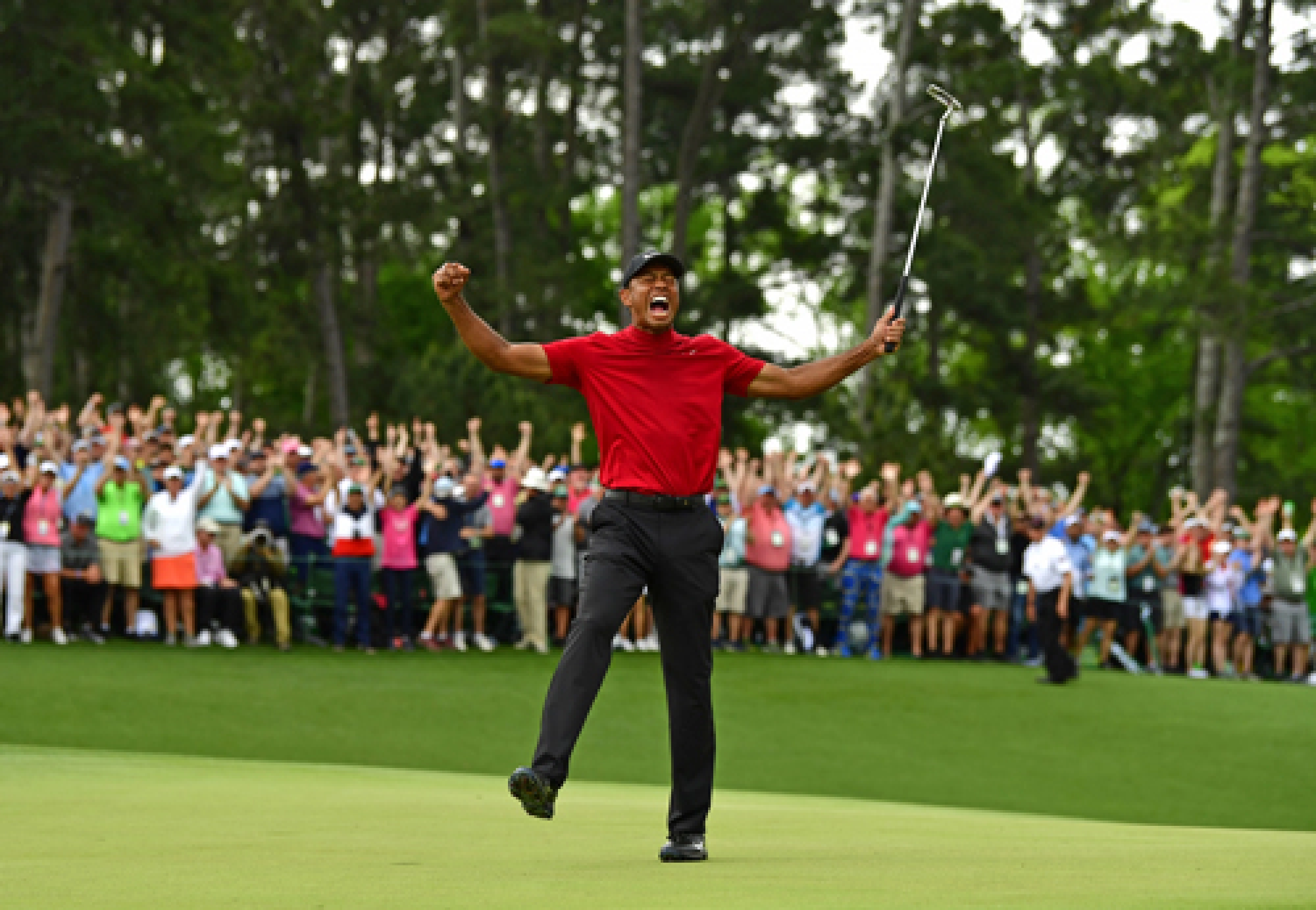 Tiger roars again