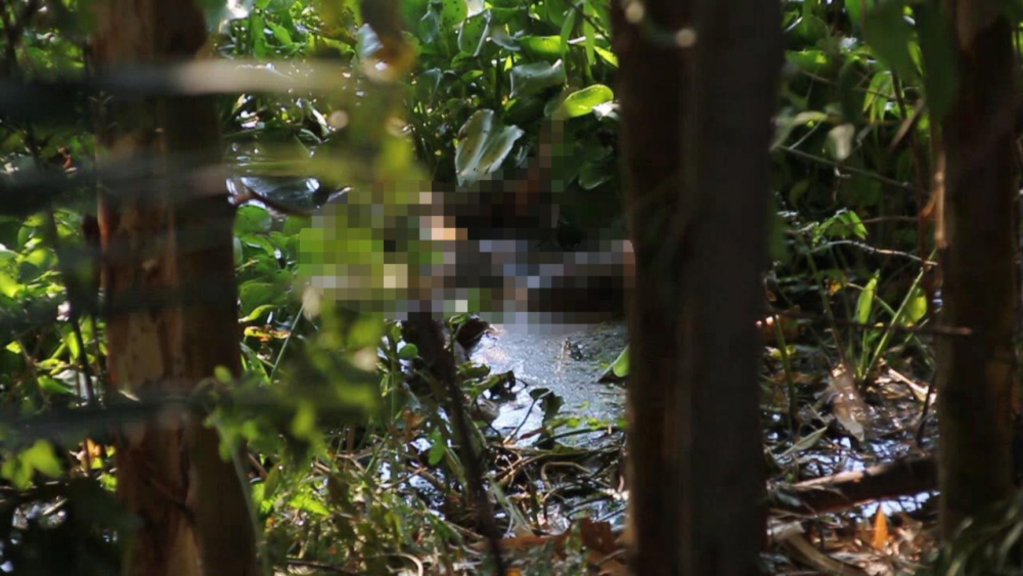 Police hunt murdered Khon Kaen woman’s boyfriend