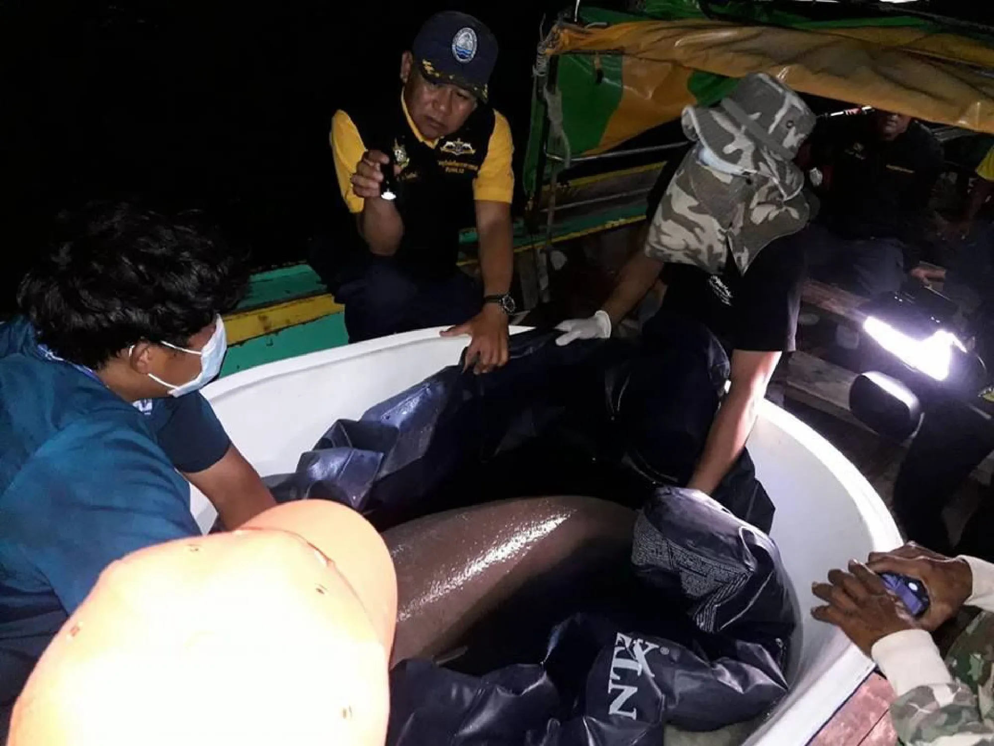 Young dugong rescued in Krabi,  taken back to Trang home waters