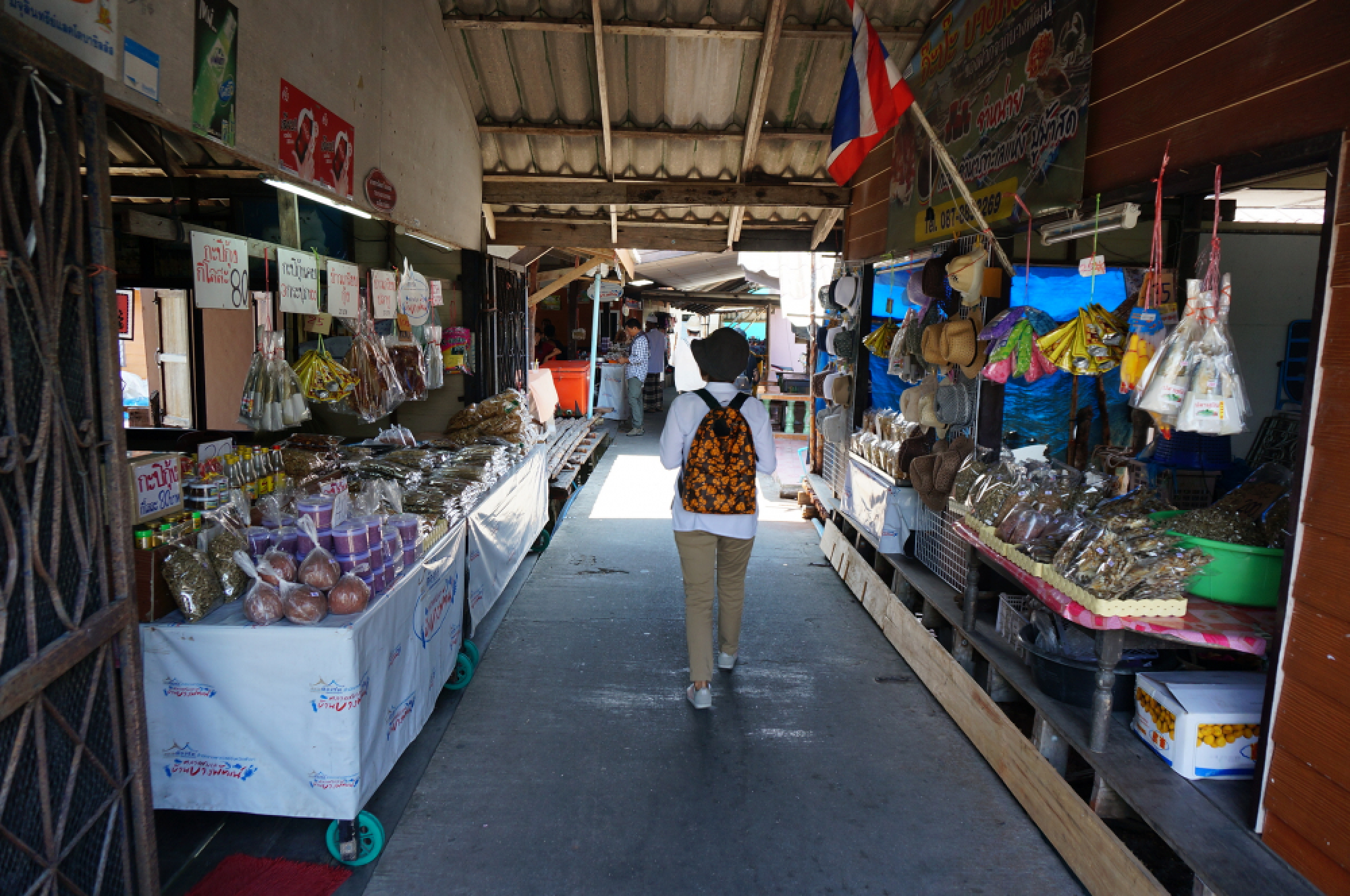 Splendours of the South