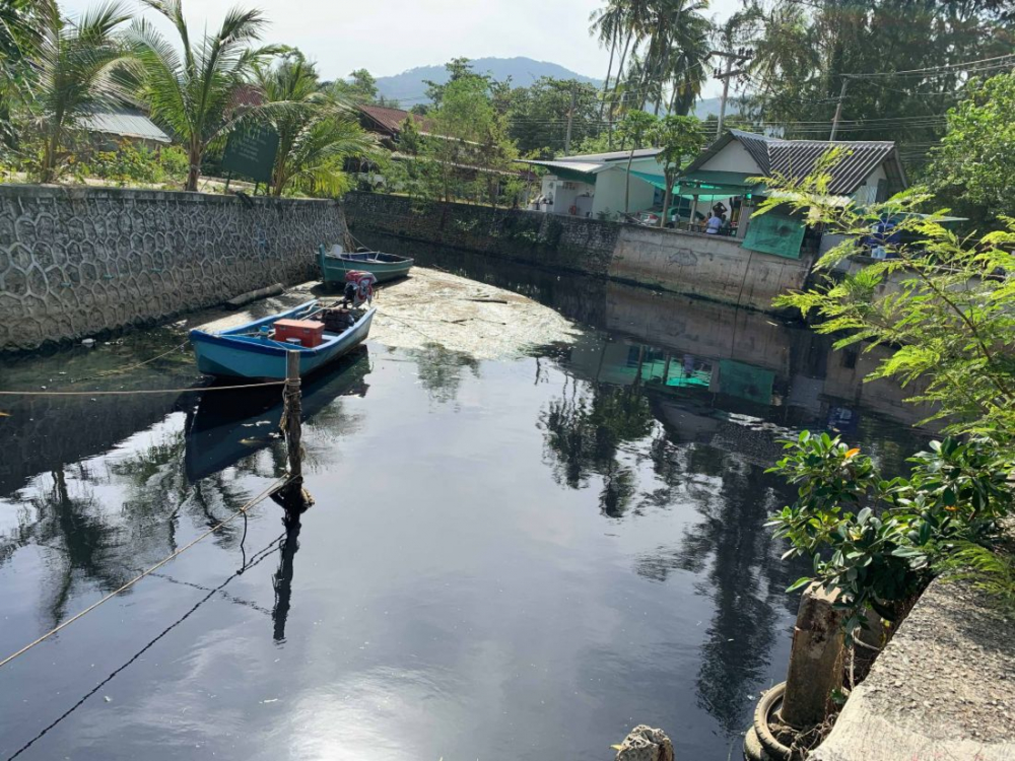 Residents plead for help to curb Bang Tao Canal wastewater
