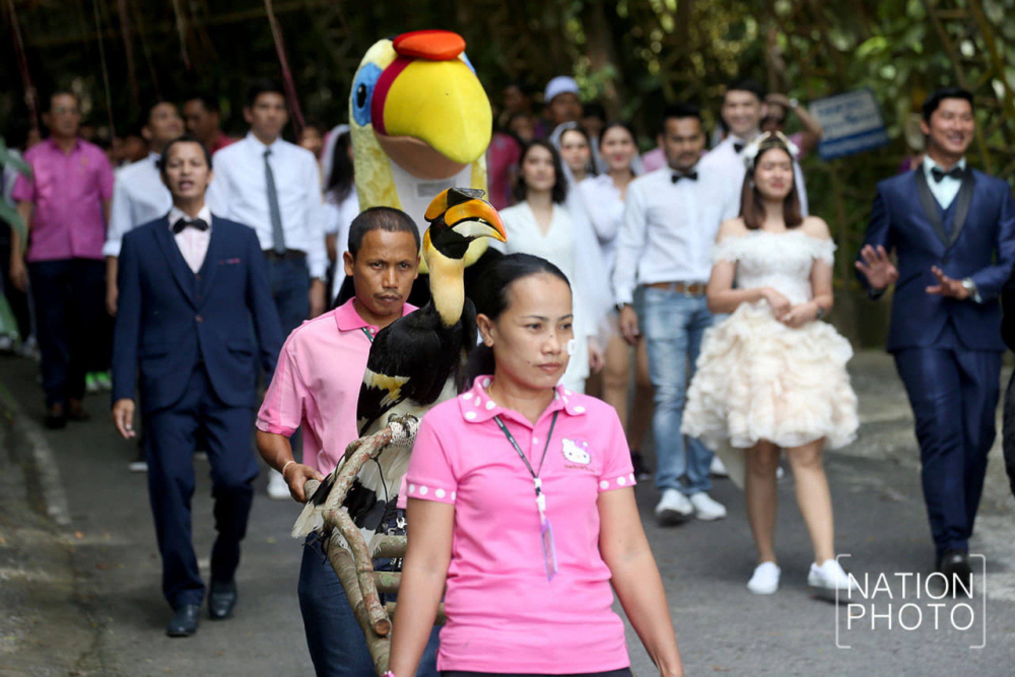 Hornbills ‘marry’ in Songkhla