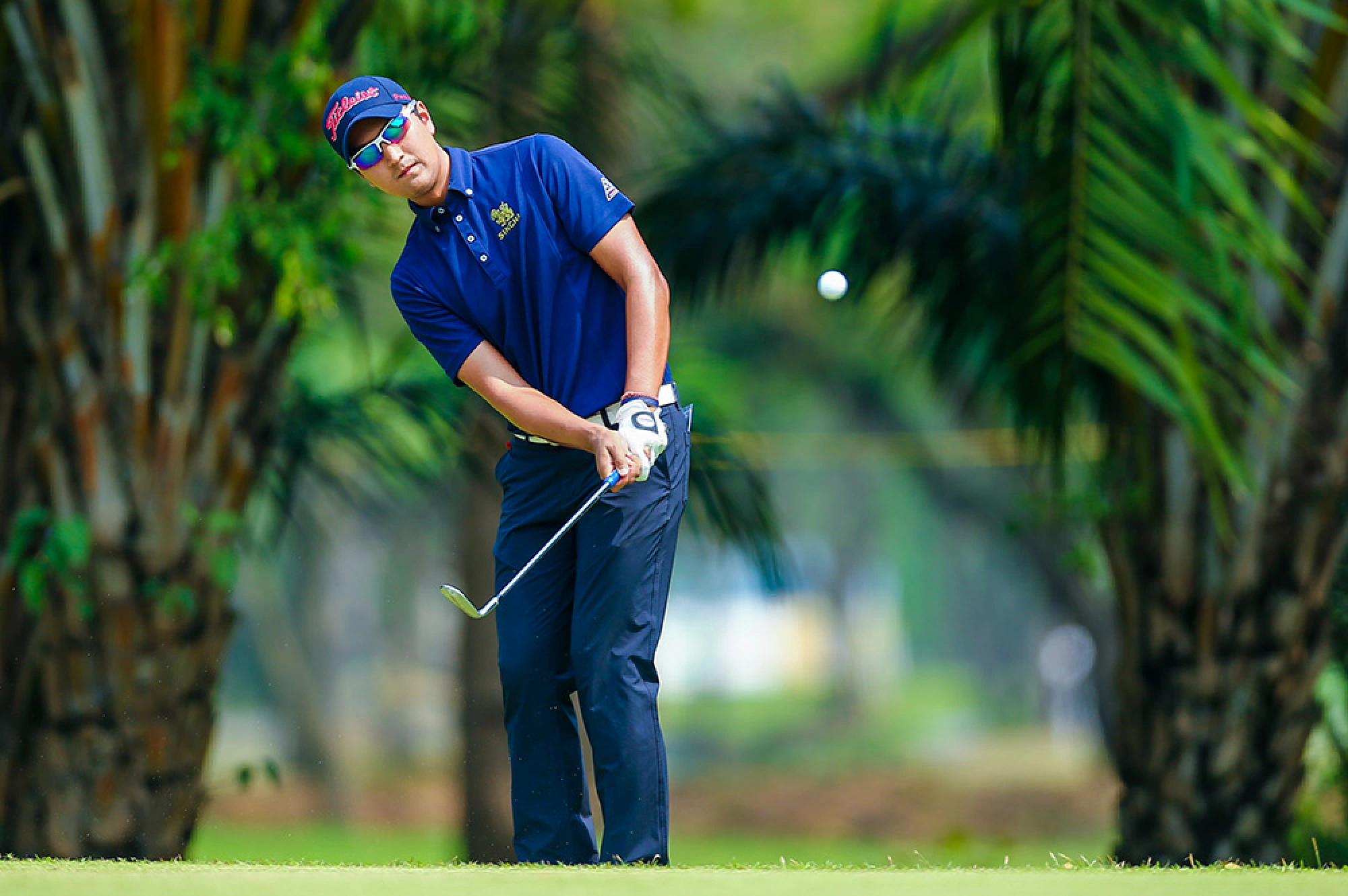 ‘Mighty mouse’ is halfway there