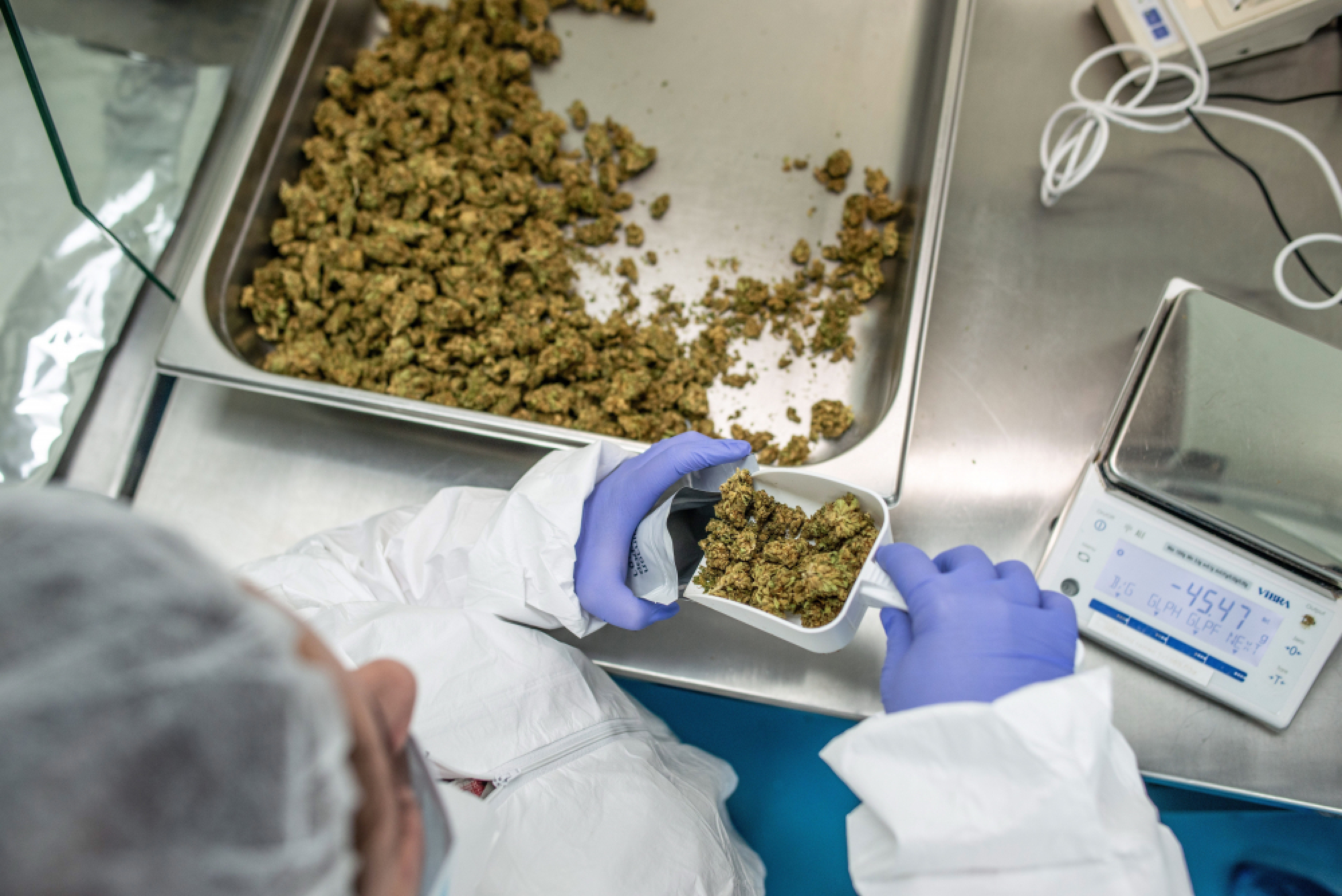 Amended Narcotics Act comes into effect, leaves door open for monopoly, say experts