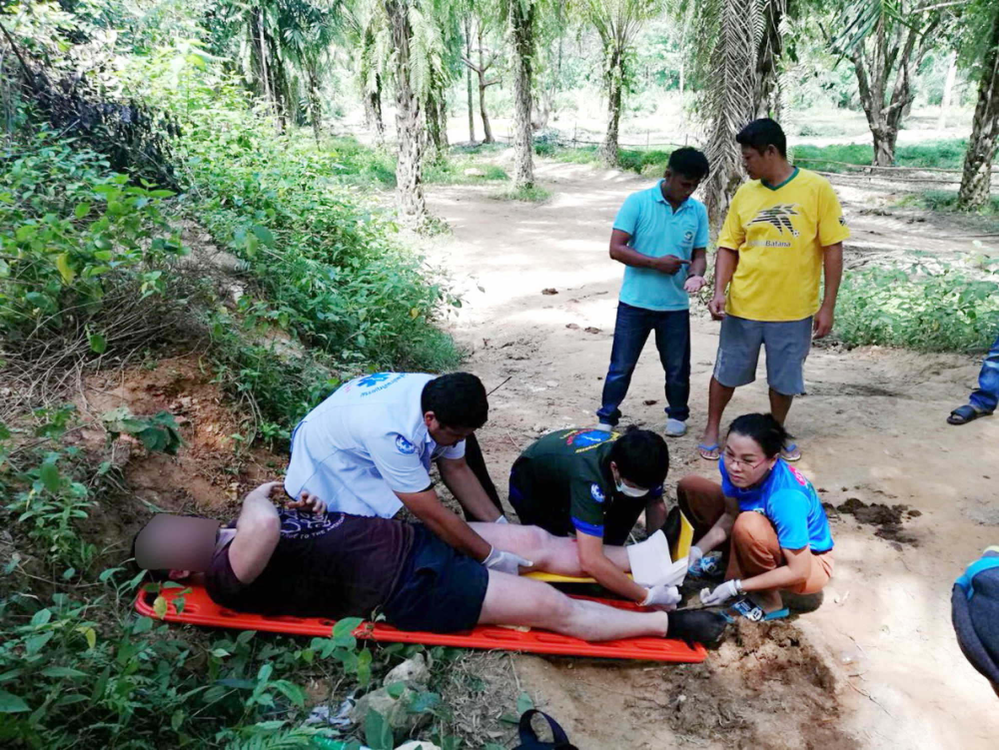 Italian tourist seriously injured in goring by bull elephant at private Phang-Nga park