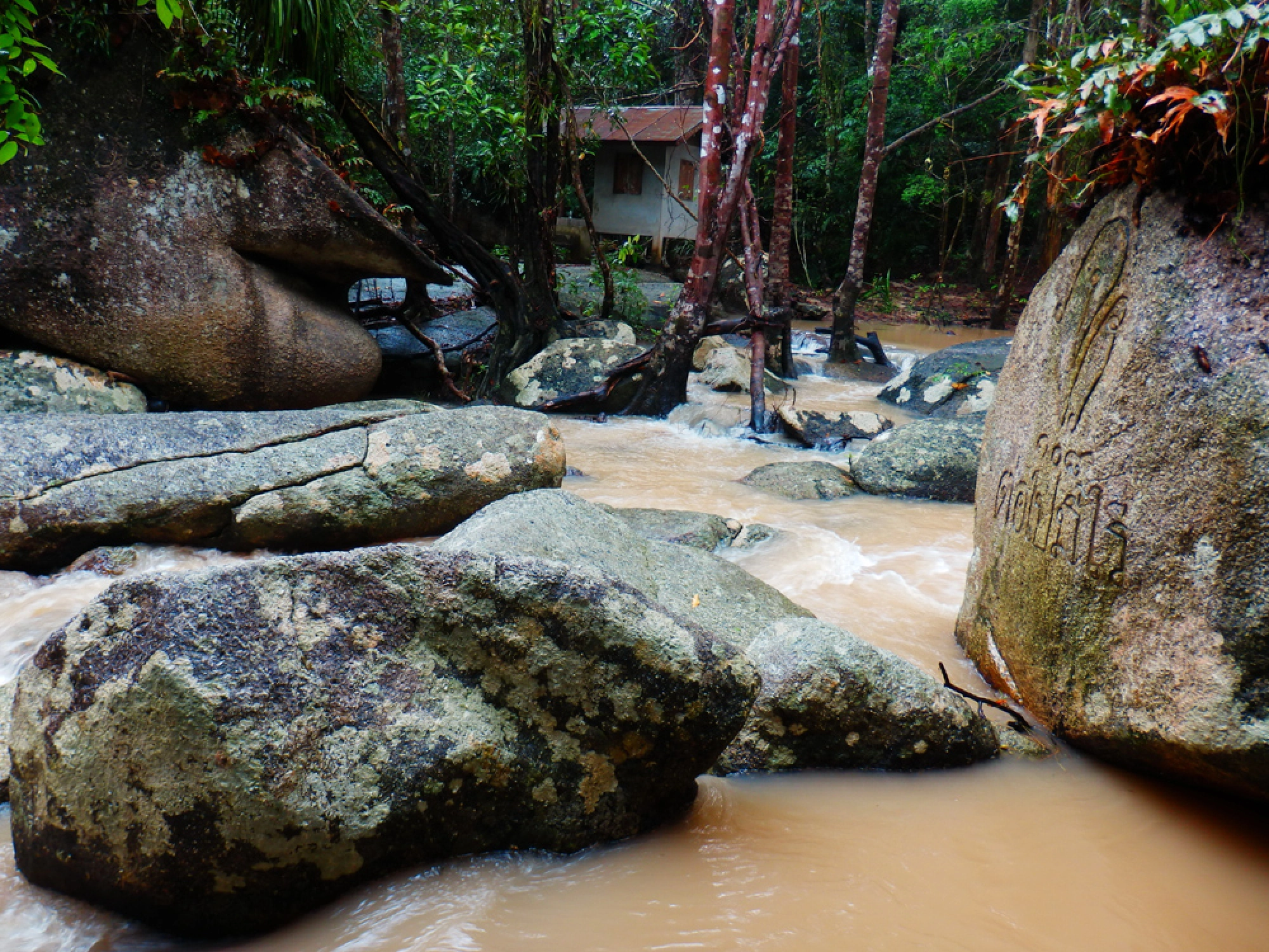 The always faithful ferry