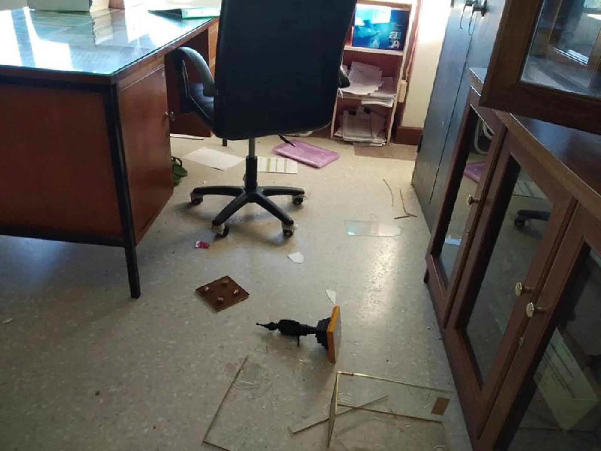 Hungry monkeys raid Krabi college