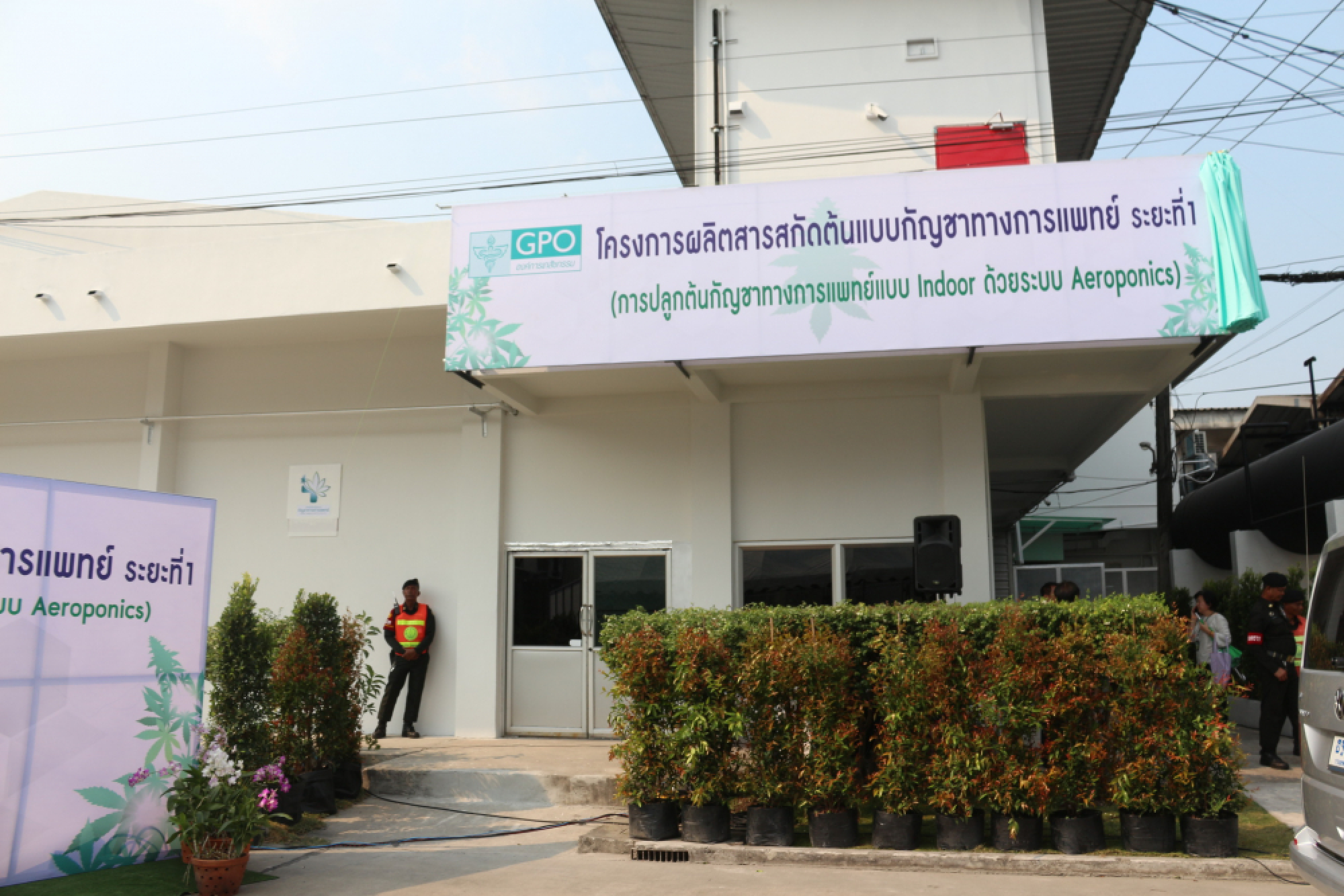 Govt pharmaceutical agency officially opens first legal greenhouse to grow cannabis