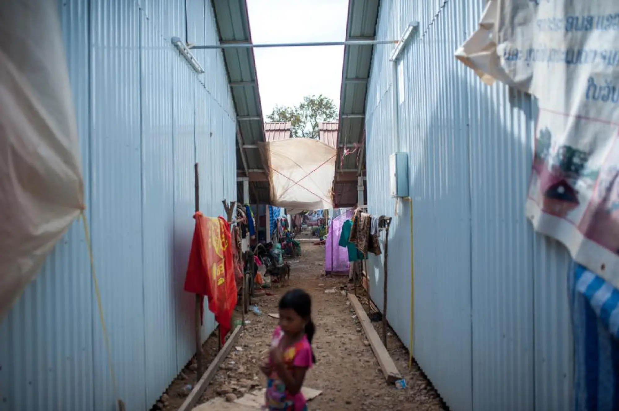 Lao flood victims battle dengue, malnutrition