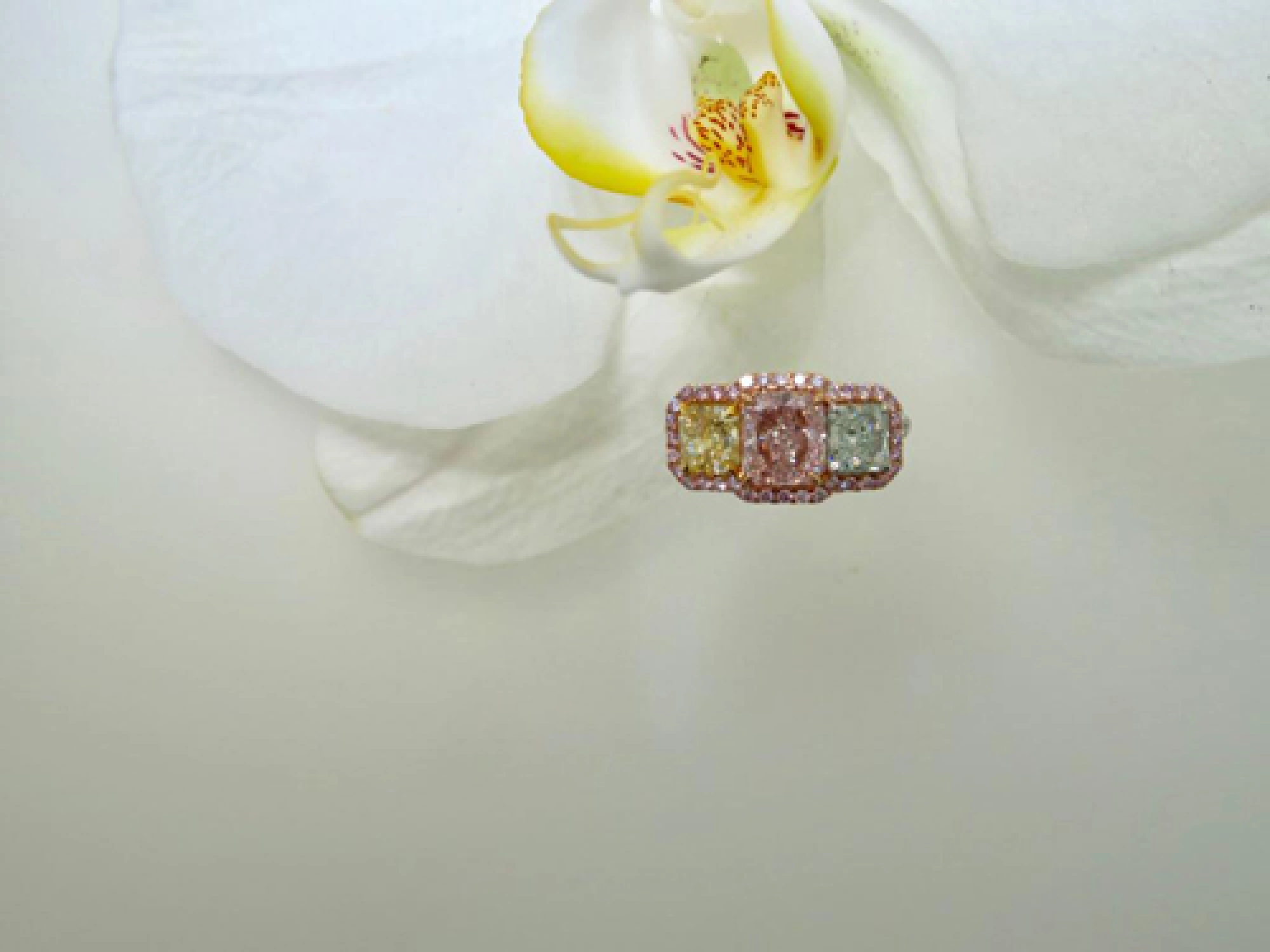 Diamond spectacular at Paragon for February