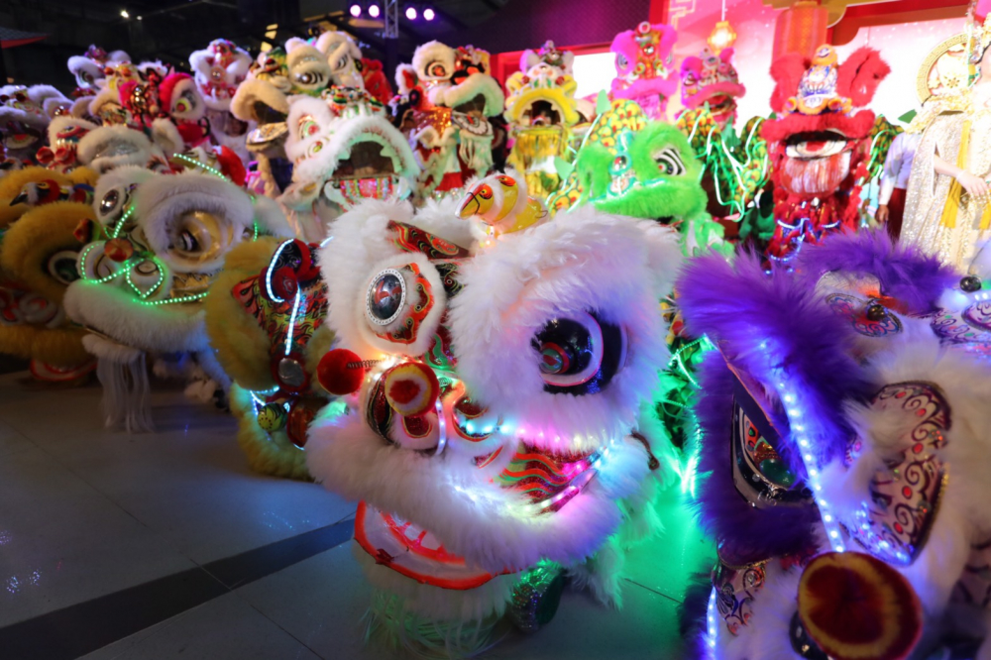 Downtown malls welcome the Year of the Pig