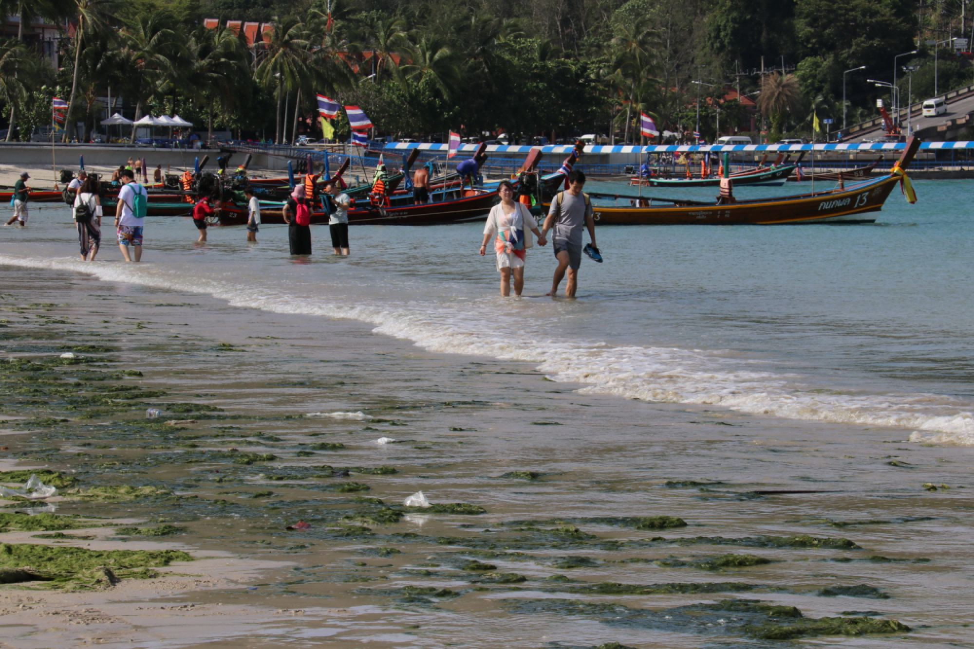Seaweed washed up on Patong Beach