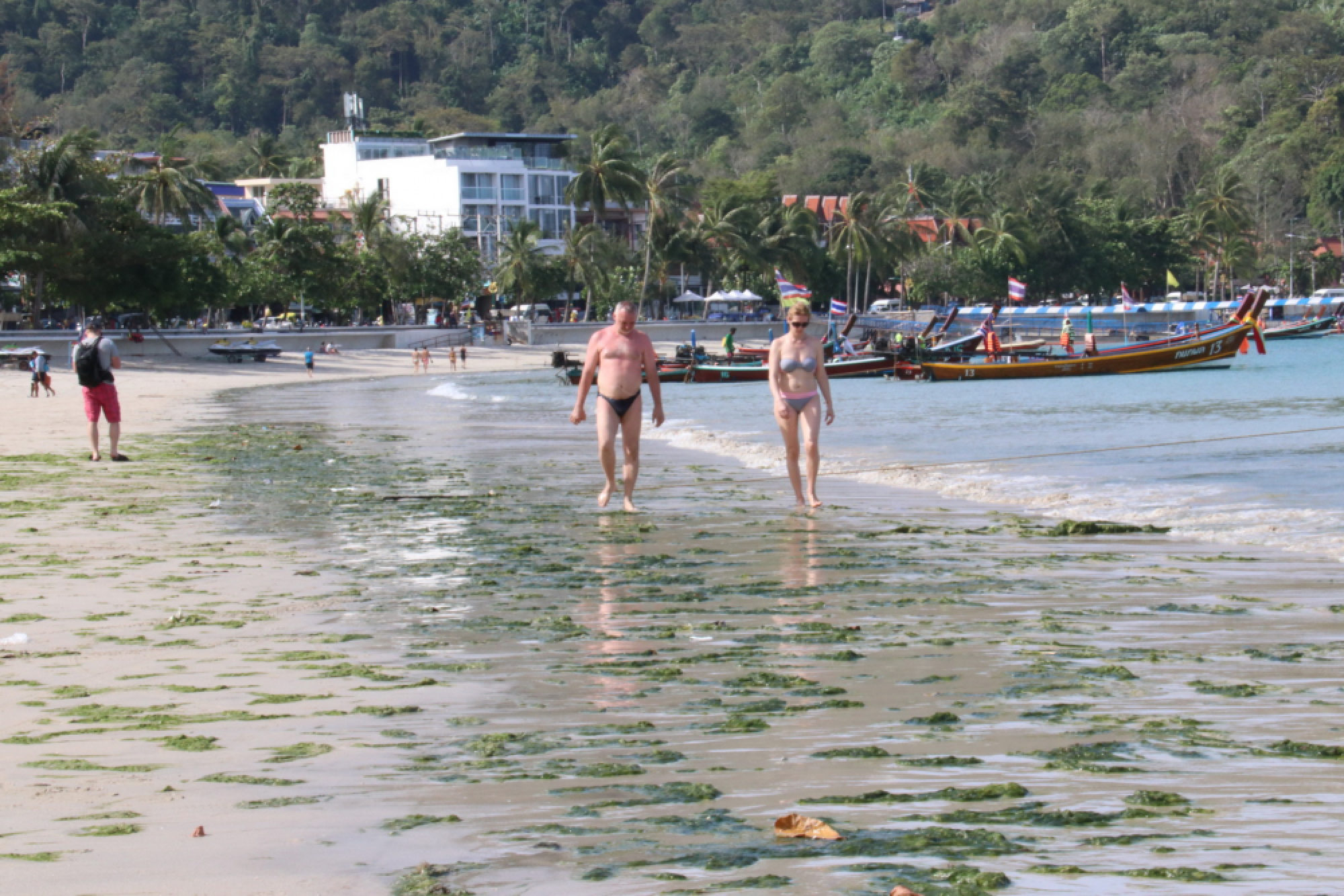 Seaweed washed up on Patong Beach