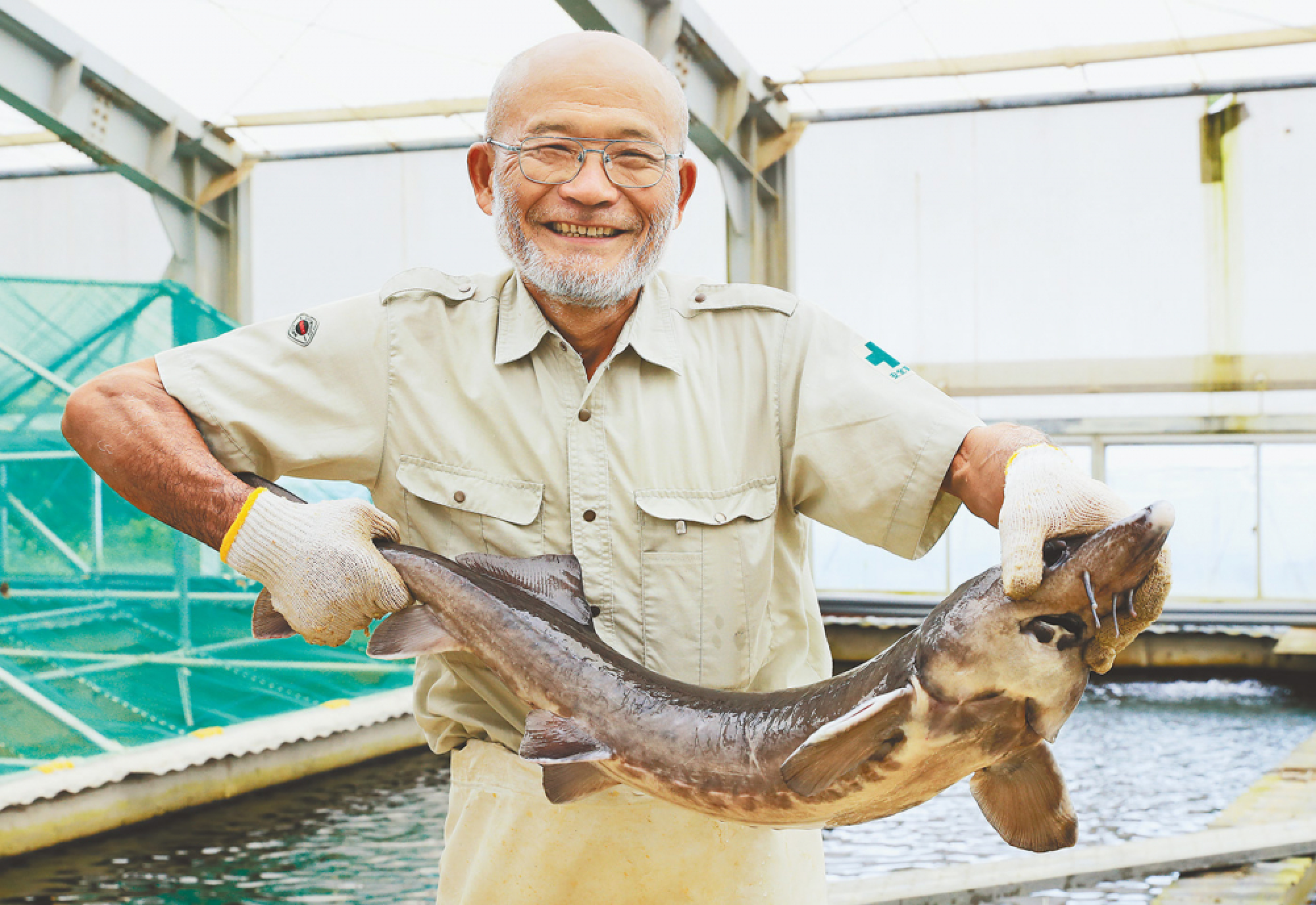 Racheting up the roe