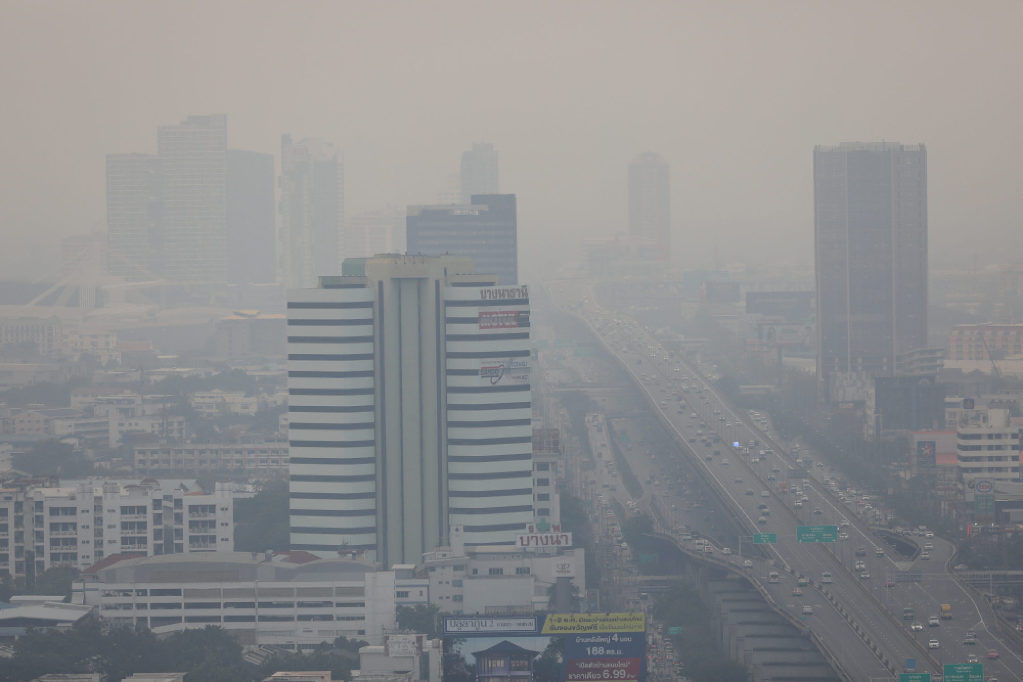 REPORT: Let’s nail down SMOG CAUSES