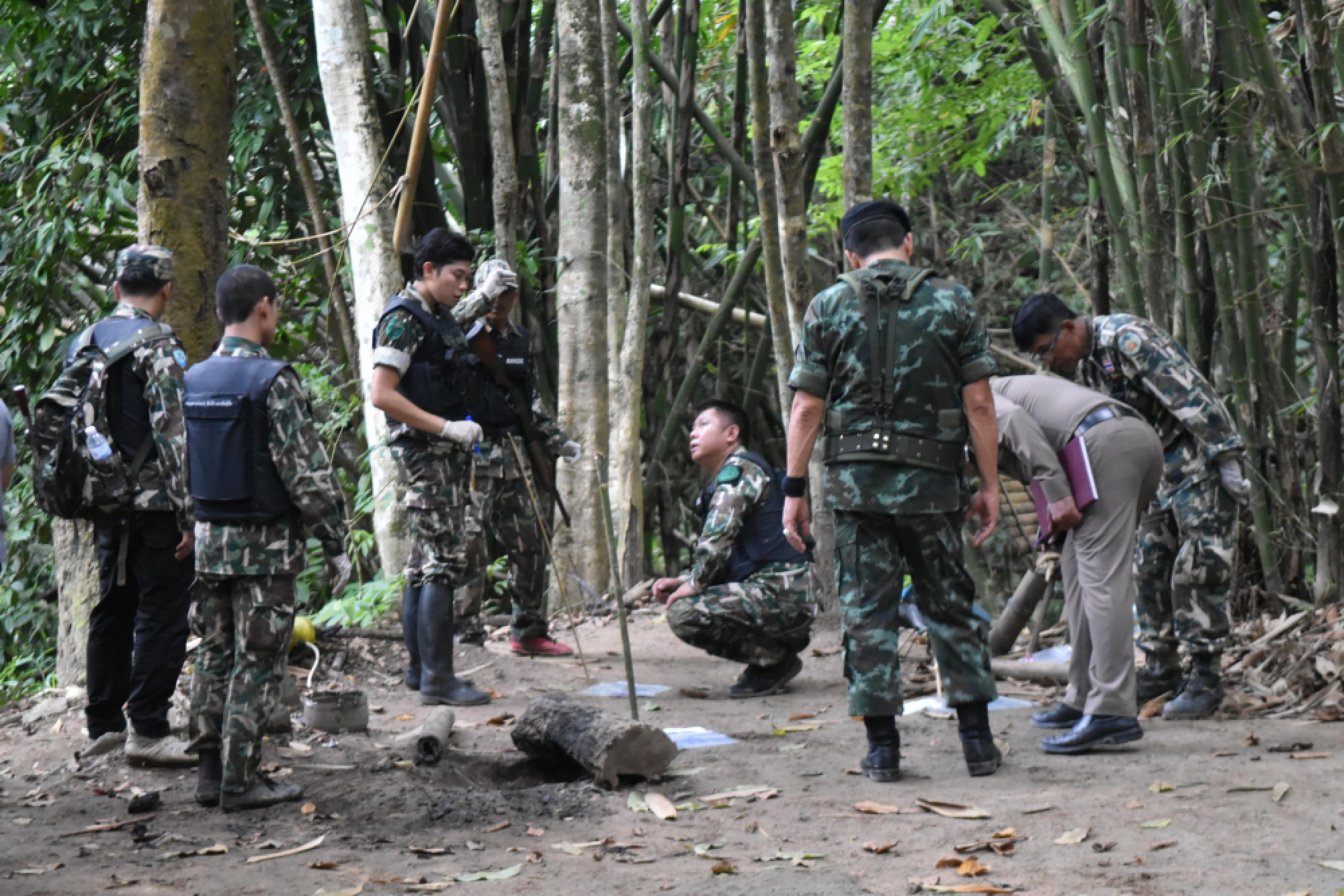 Defendants deny charges in bearcat hunting case