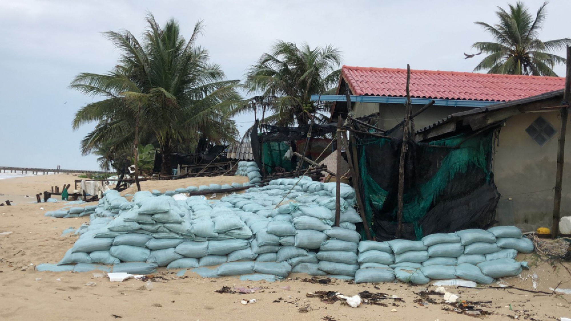 Villagers in Songkhla move to high ground ahead of Pabuk