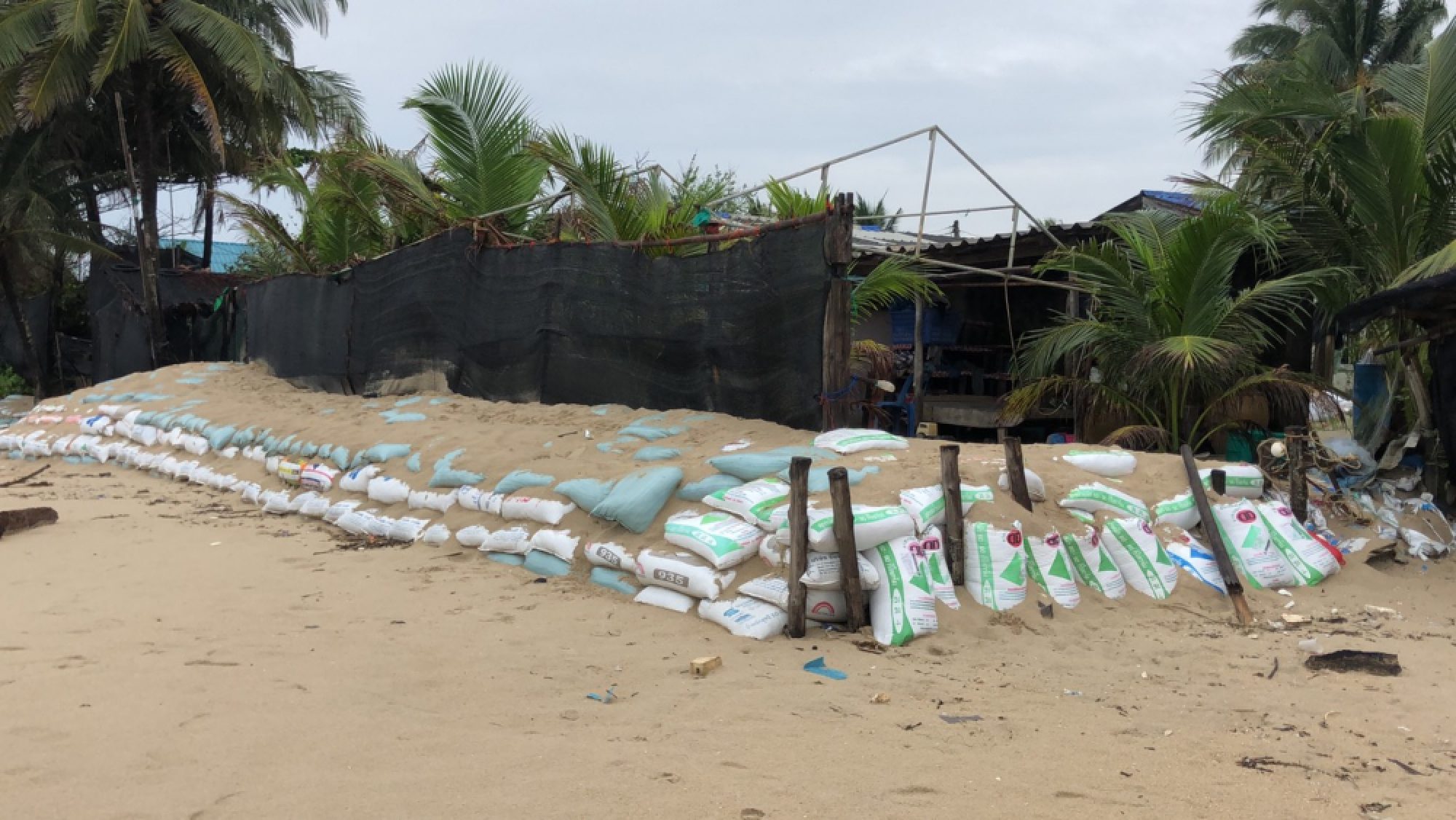 Villagers in Songkhla move to high ground ahead of Pabuk