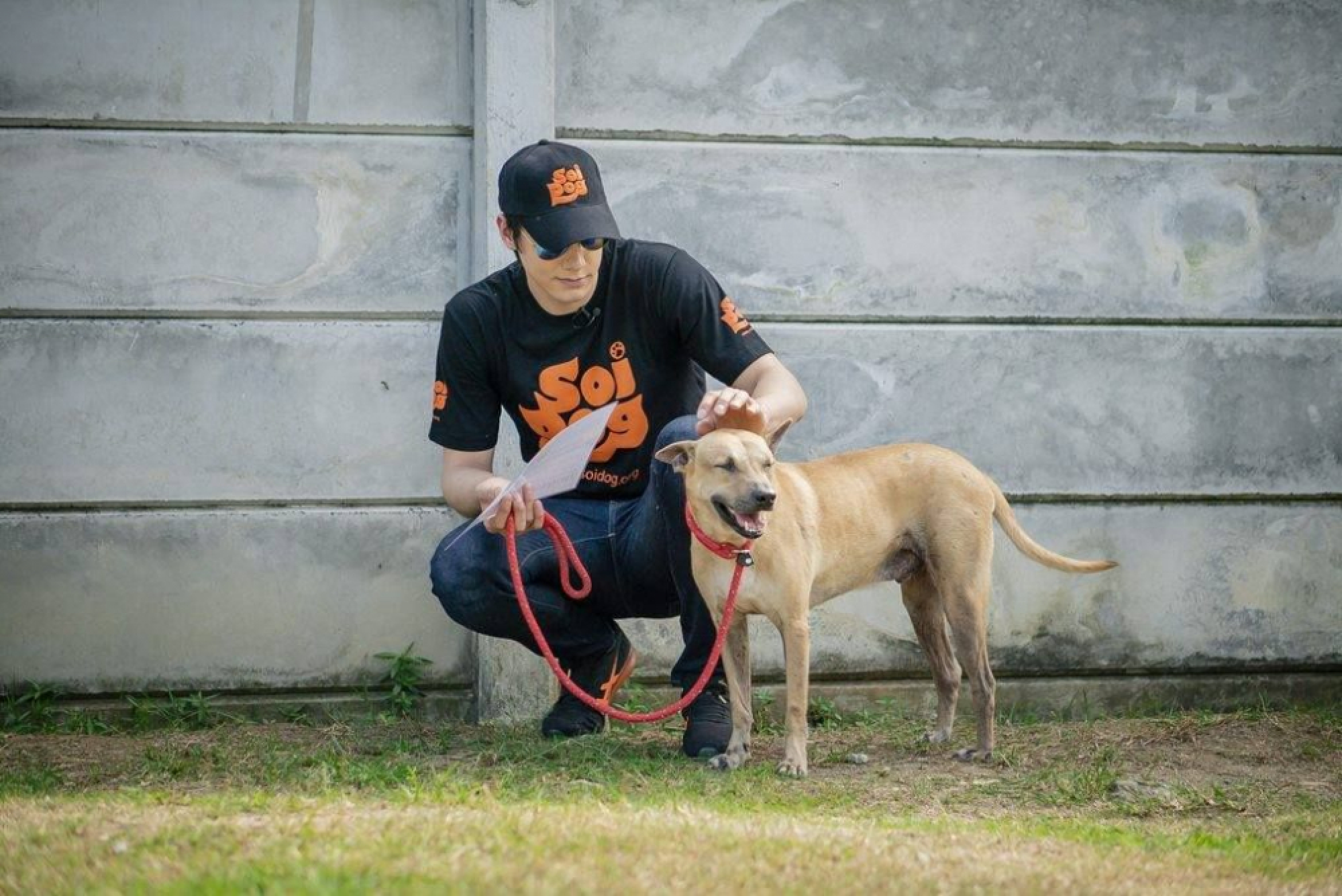 Actor promotes Soi Dog charity