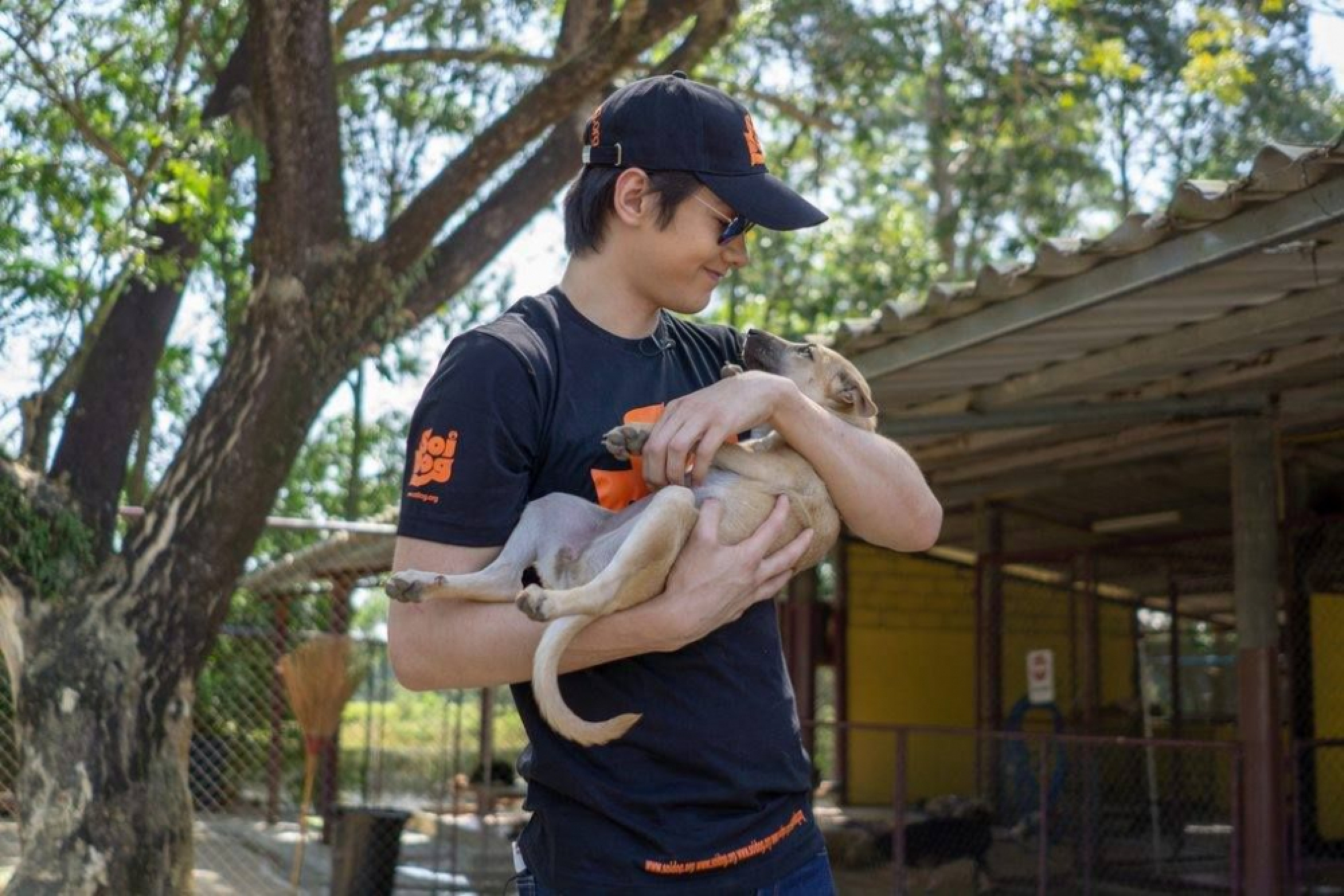 Actor promotes Soi Dog charity