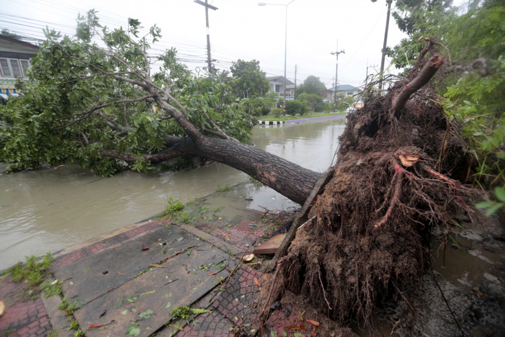 Pabuk thrashes into the south