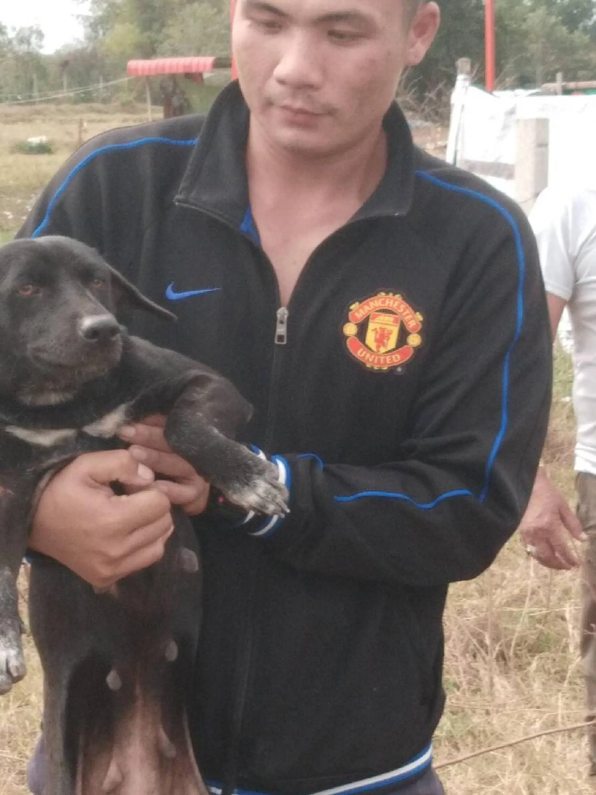 Dogs found tied and dumped on Army officer’s orders ‘now safe’