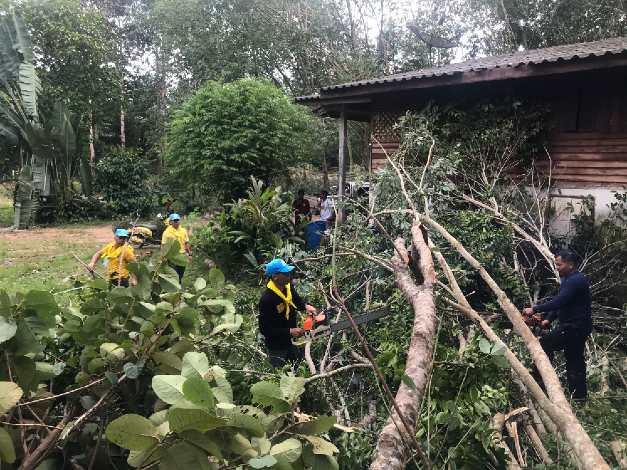 Officials get pat on the back for tropical storm response