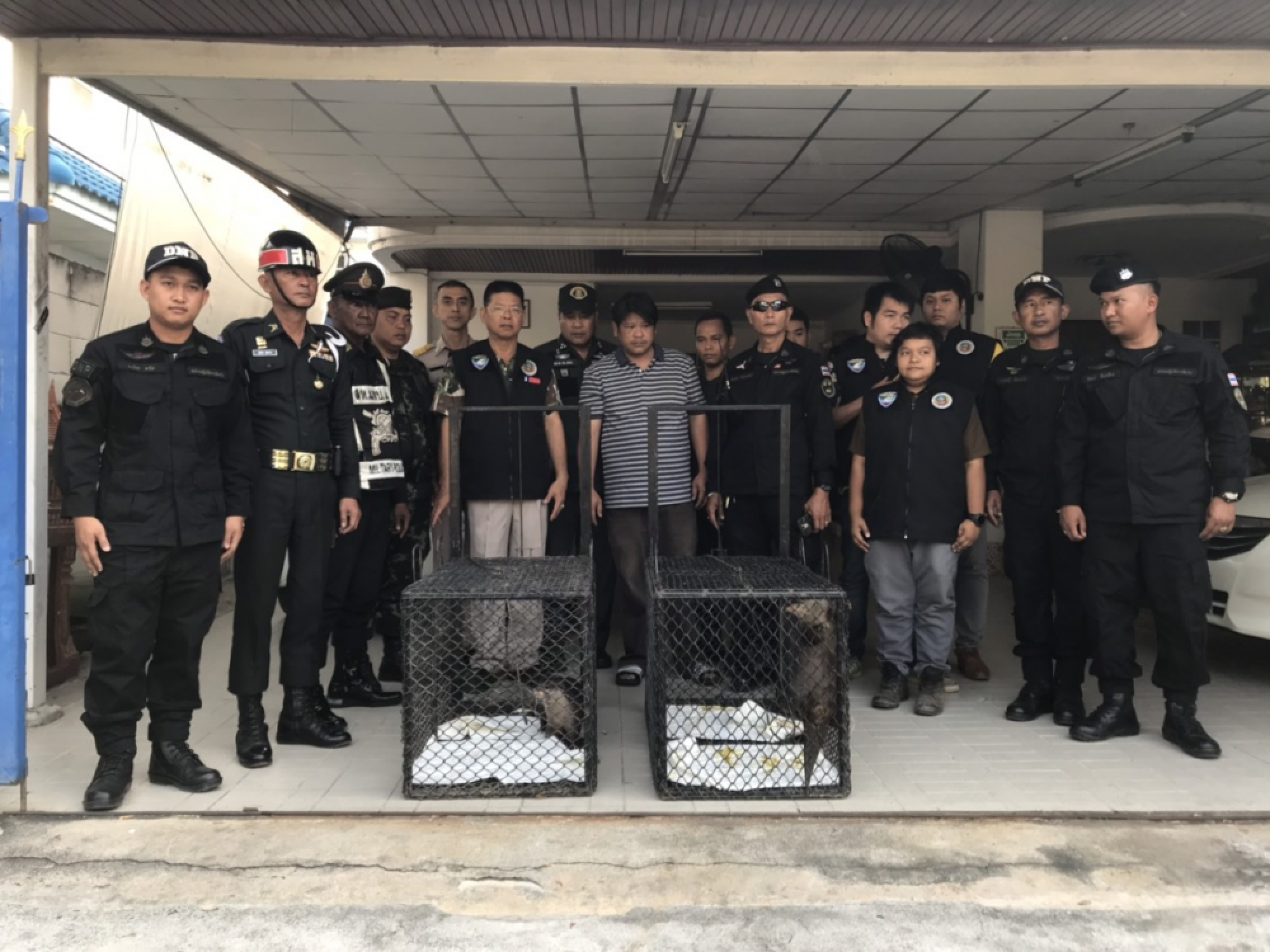 Do unto otters: Wild pets get Chon Buri owner arrested