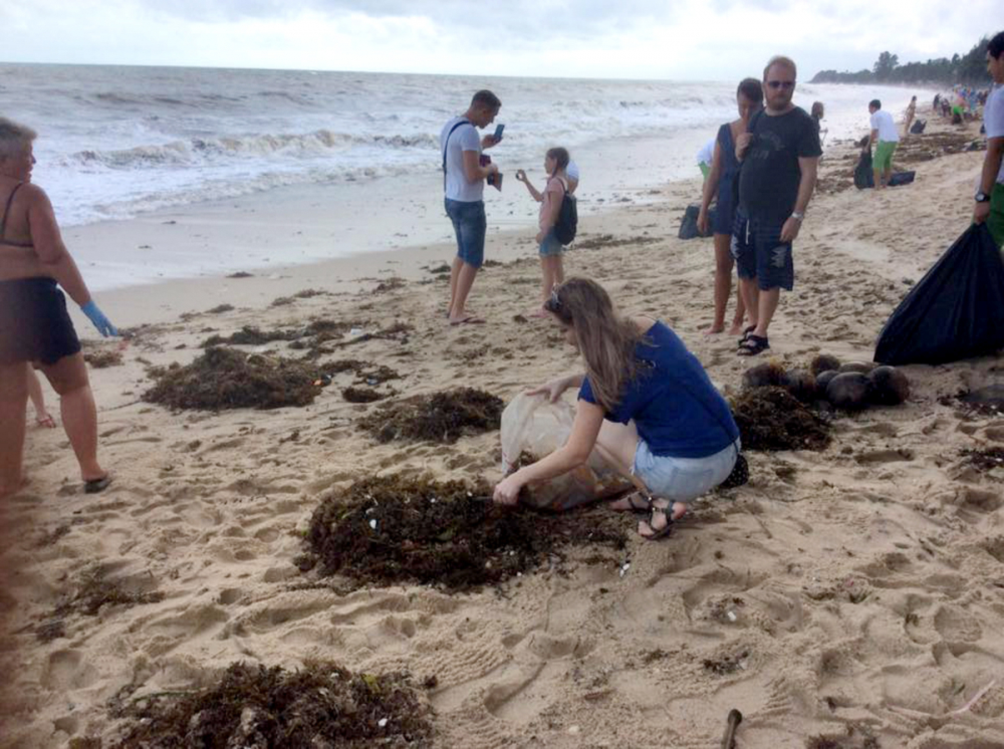 South still reels after Pabuk