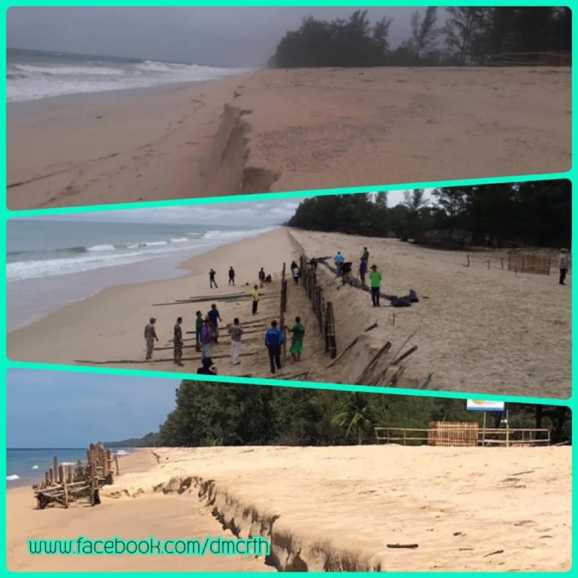 Leatherback’s nest on Phang Nga beach survives Pabuk waves