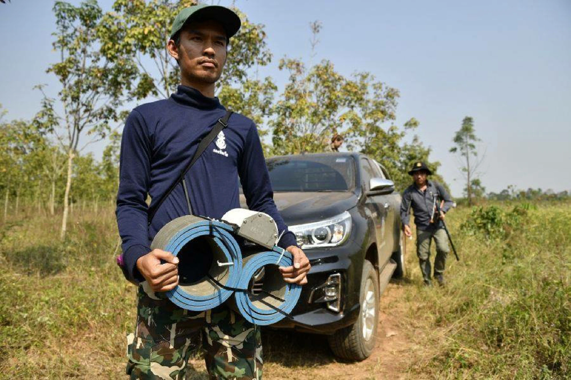 Elephants collared in move to reduce conflicts with humans