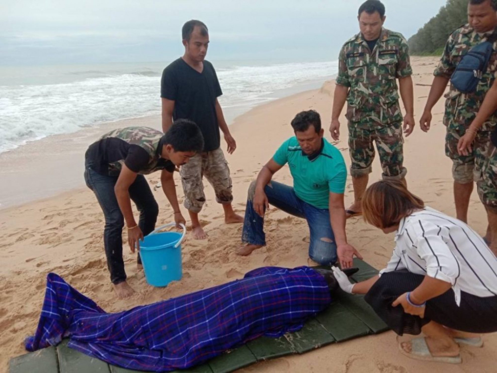 Injured dolphin rescued off Phang-na