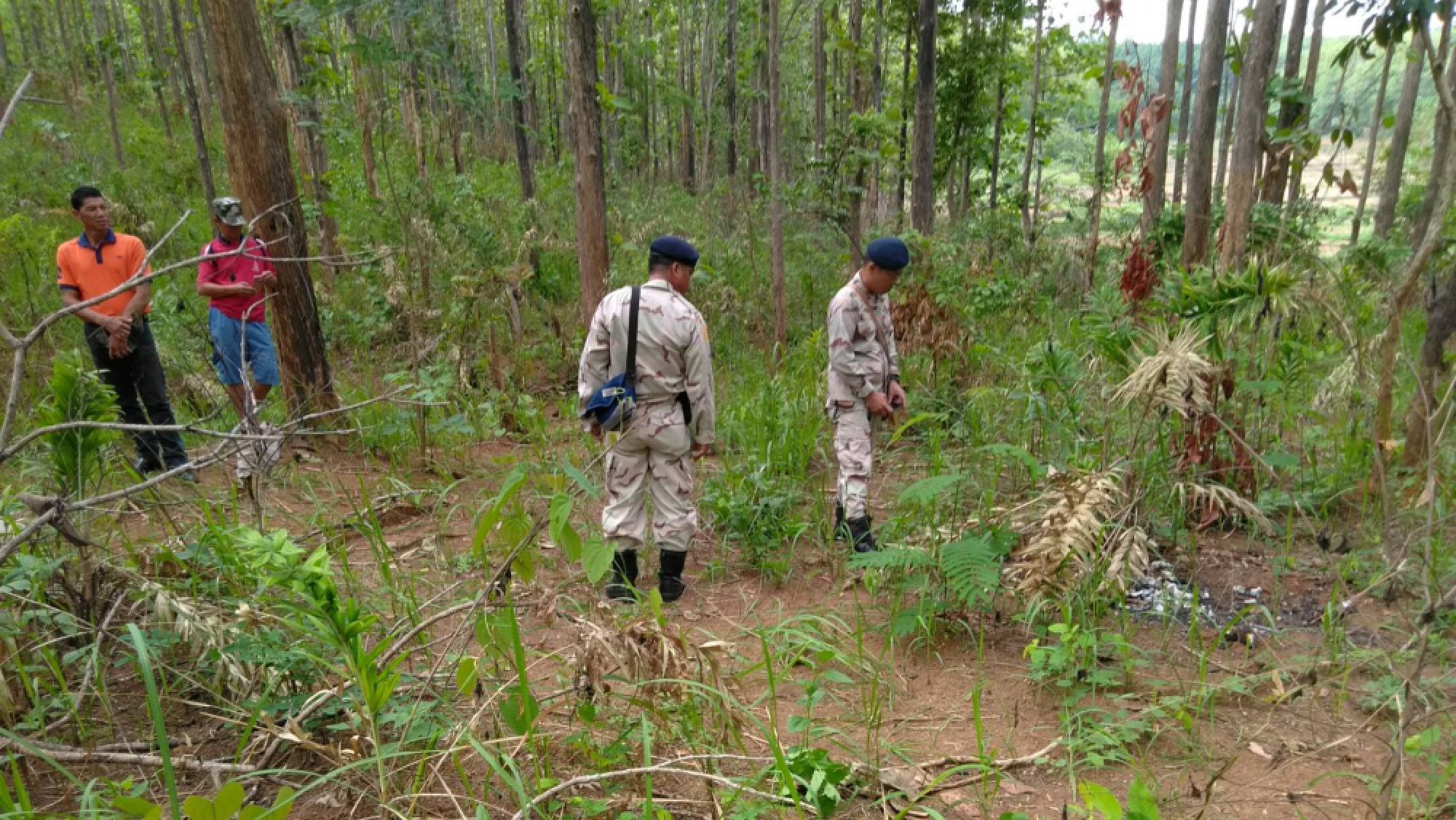 Burnt corpse found in Chiang Rai forest