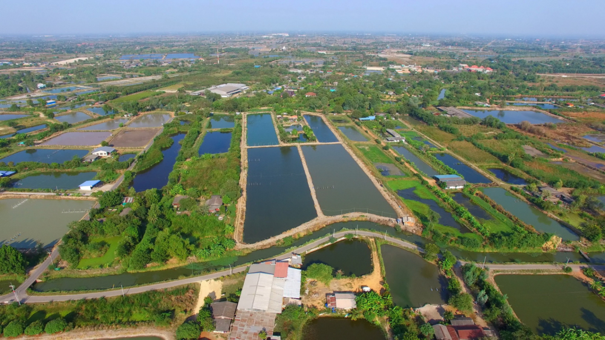 Obstacles ahead on road to the EEC