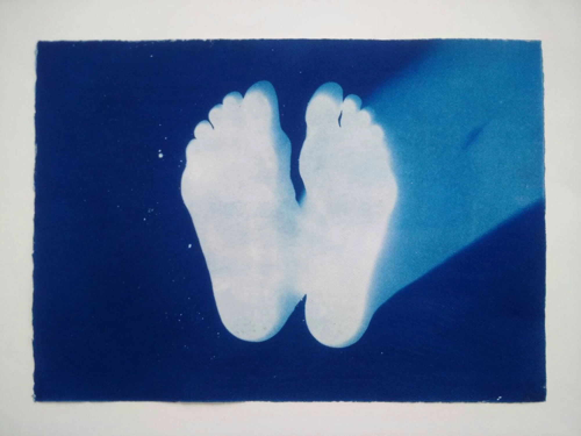 Life in little pieces