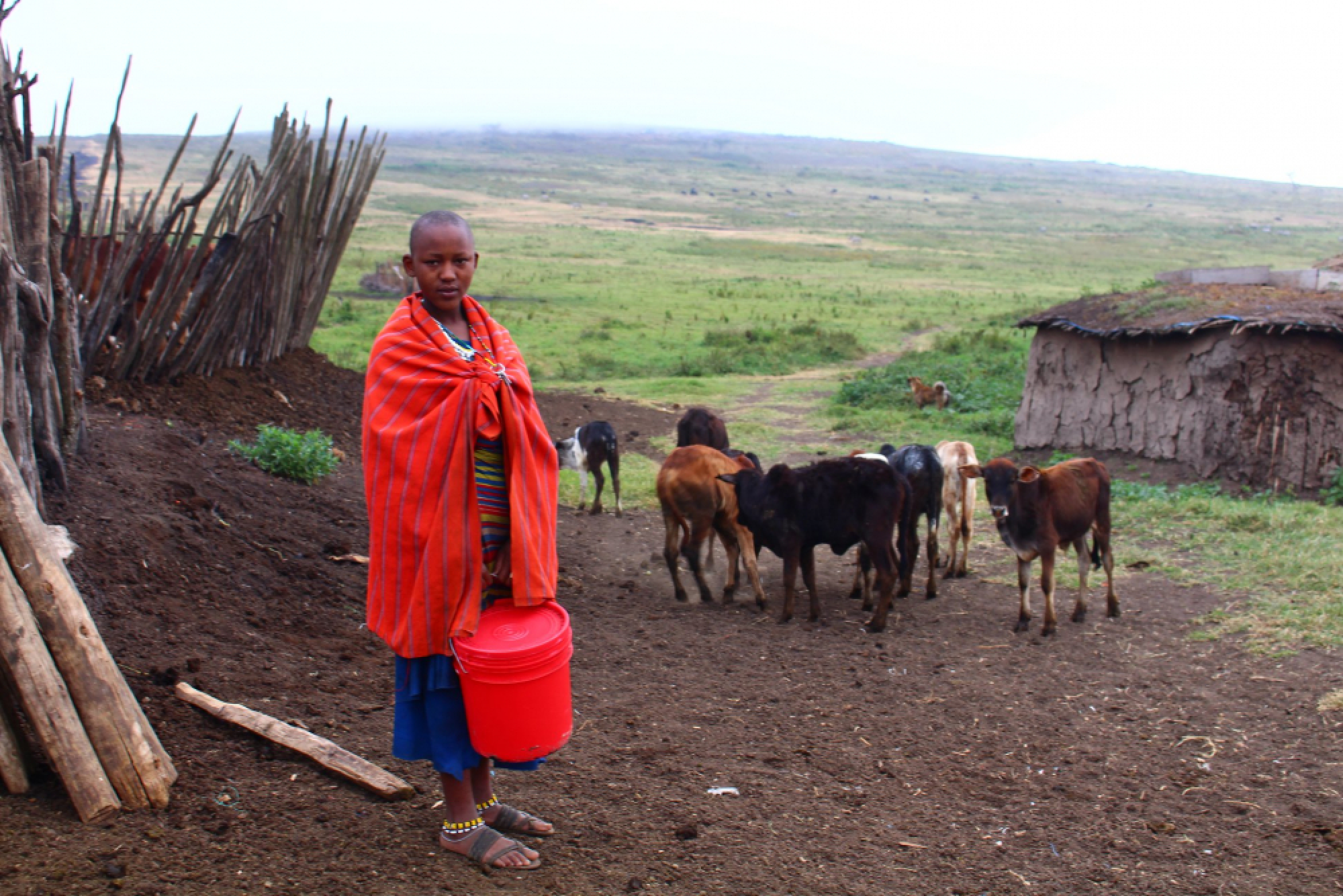 Lives imperilled by climate change