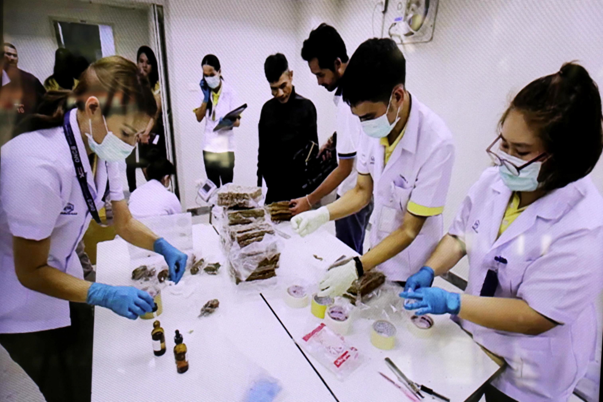 Just 7kg of seized marijuana suitable for medicine: drugs bosses