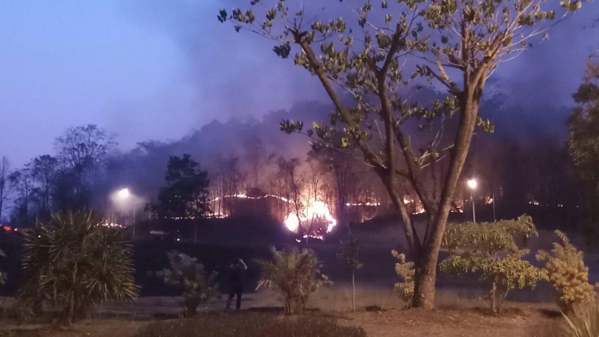 Chiang Mai has world’s worst air as fires continue to rage in the North