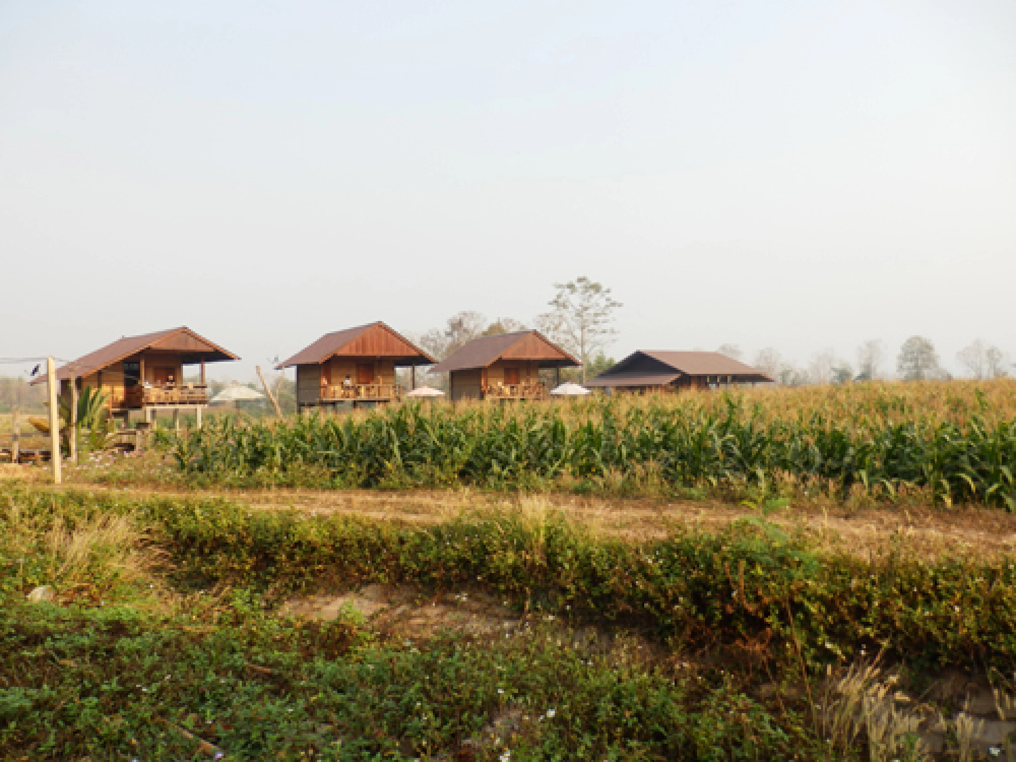 Hidden in the hills of Nan