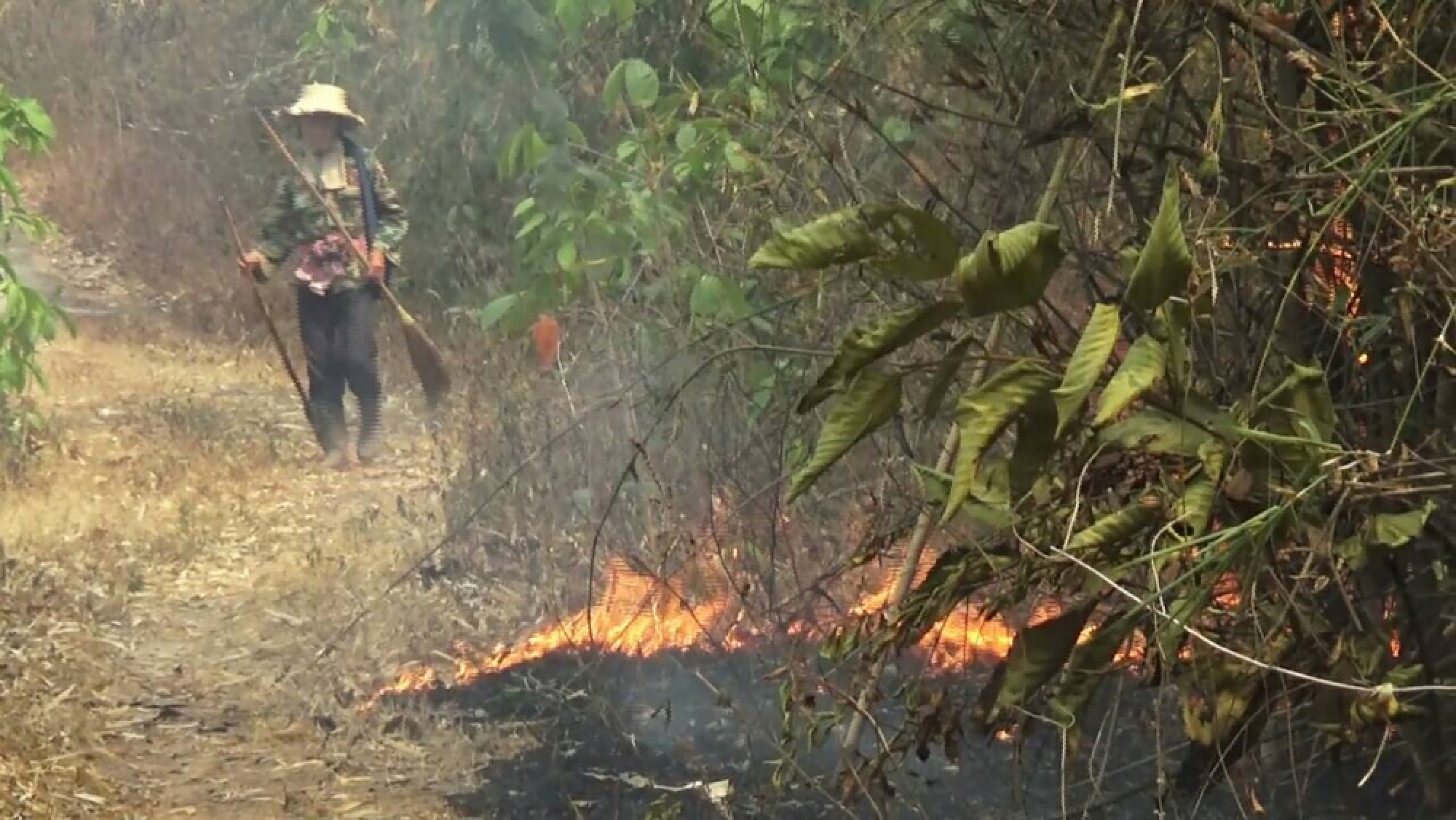 North continues to reel under smog