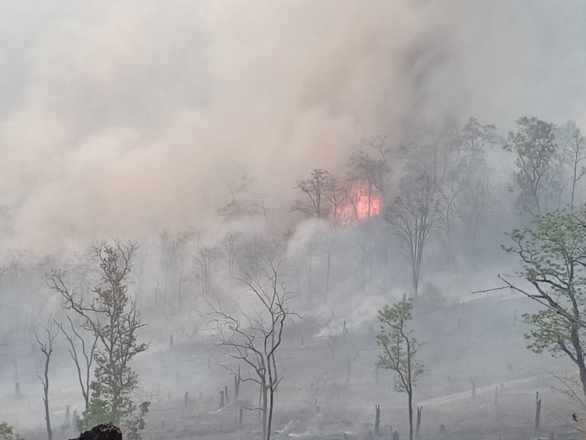 Warning over dangerous smog in Mae Hong Son