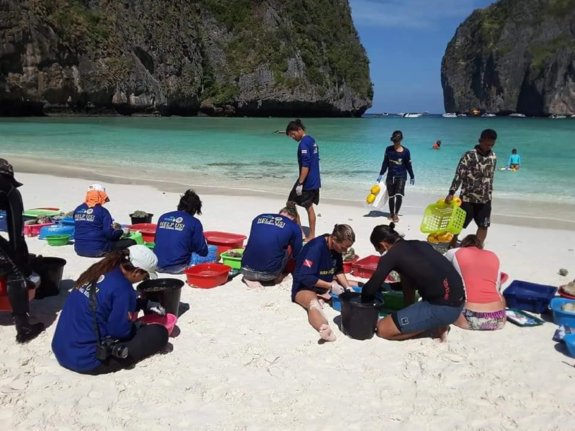 Volunteer divers needed for Maya Bay reef restoration