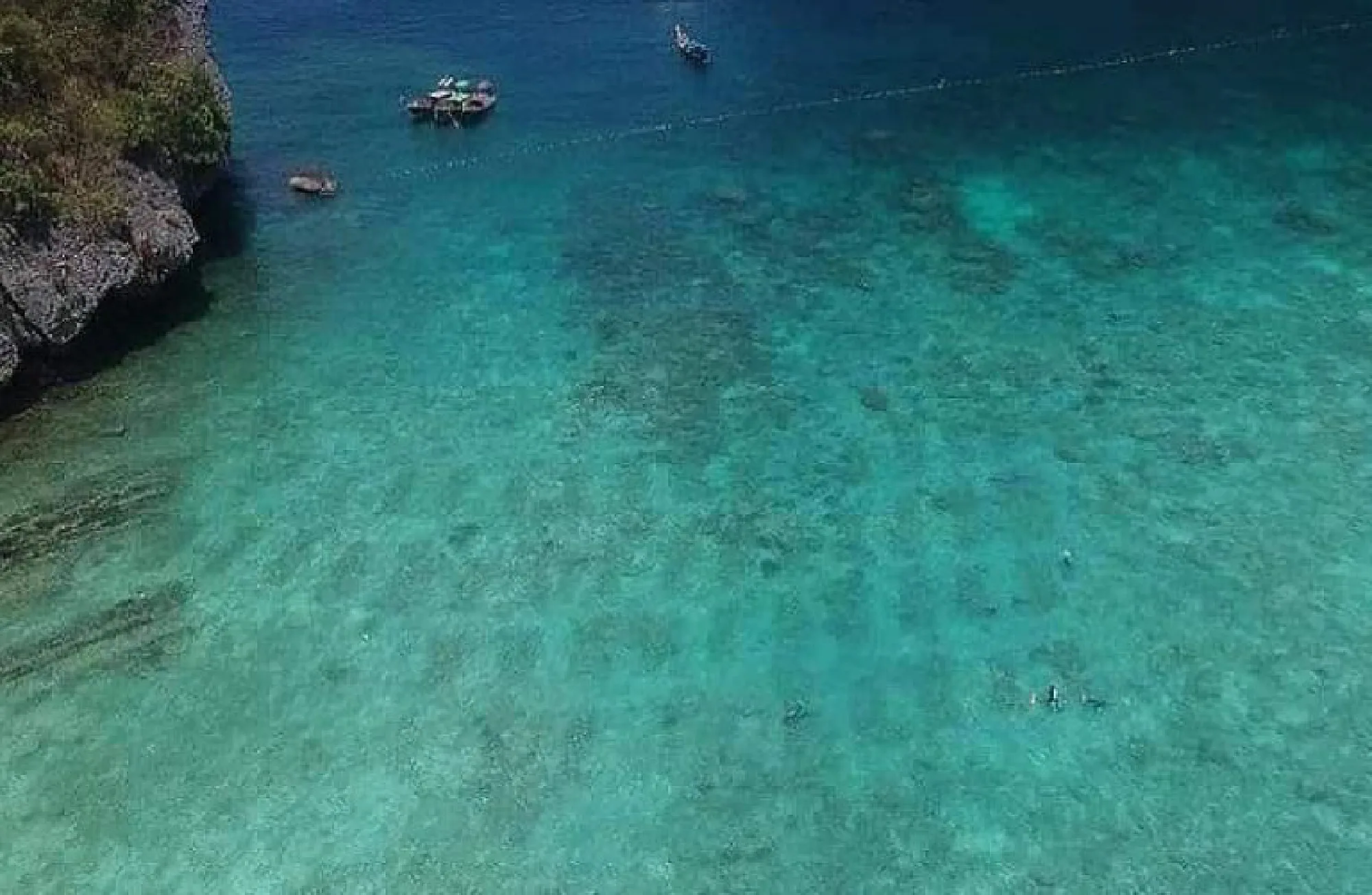 Volunteer divers needed for Maya Bay reef restoration