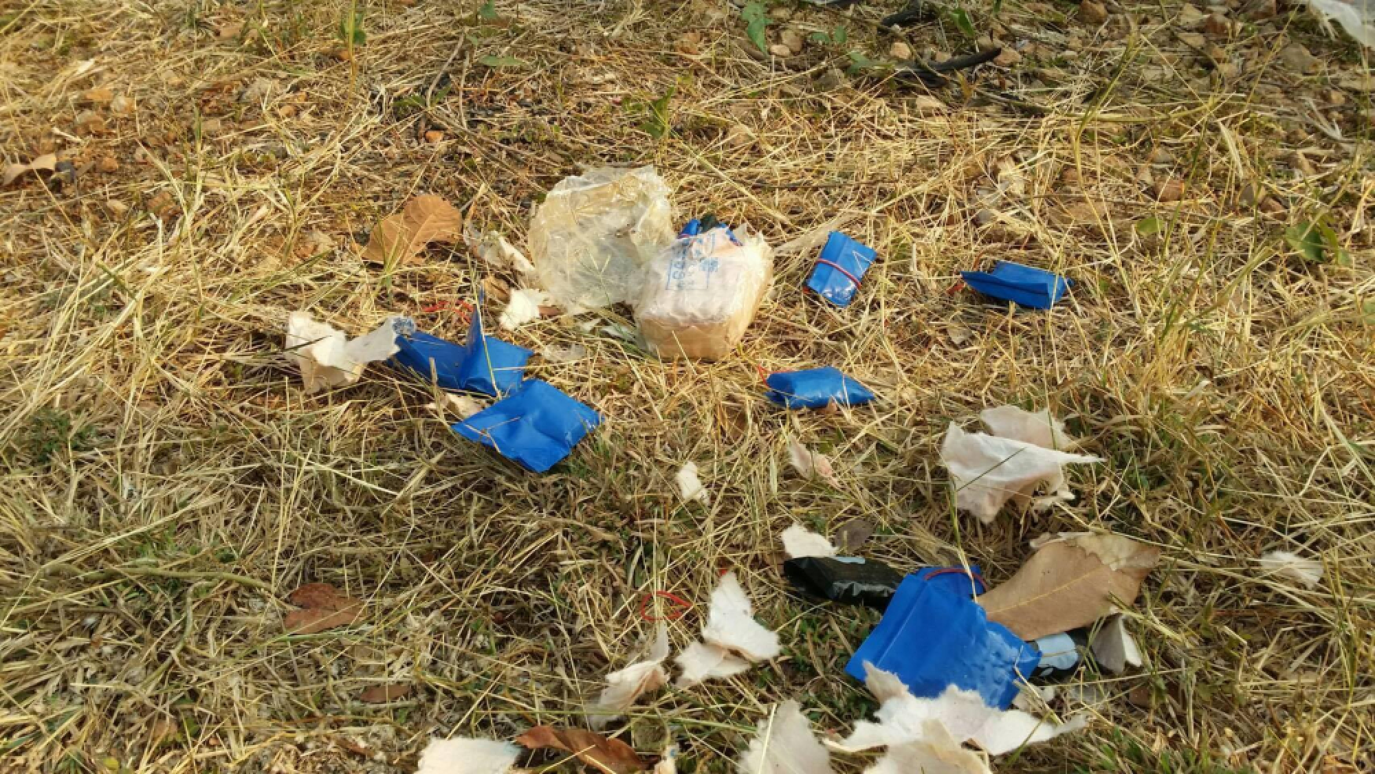 Pet dog brings home a haul of drugs