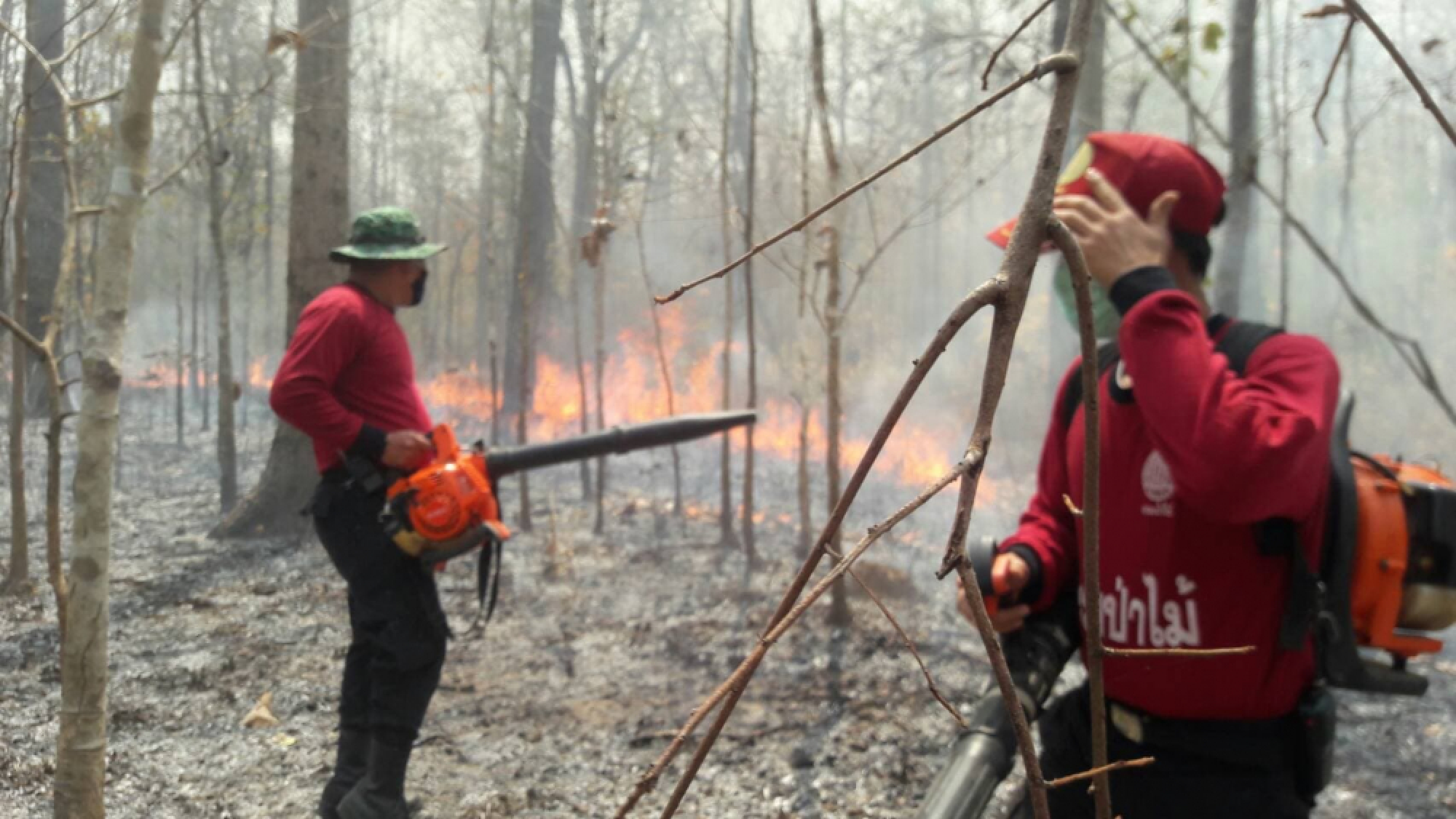 Forest fires raise air pollution levels in North